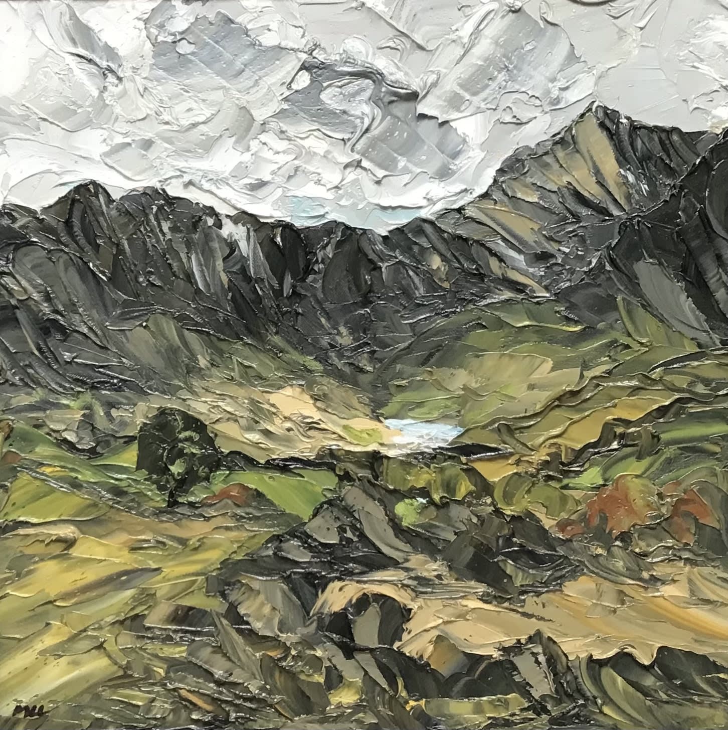 Martin Llewellyn, View from Llyn Dinas