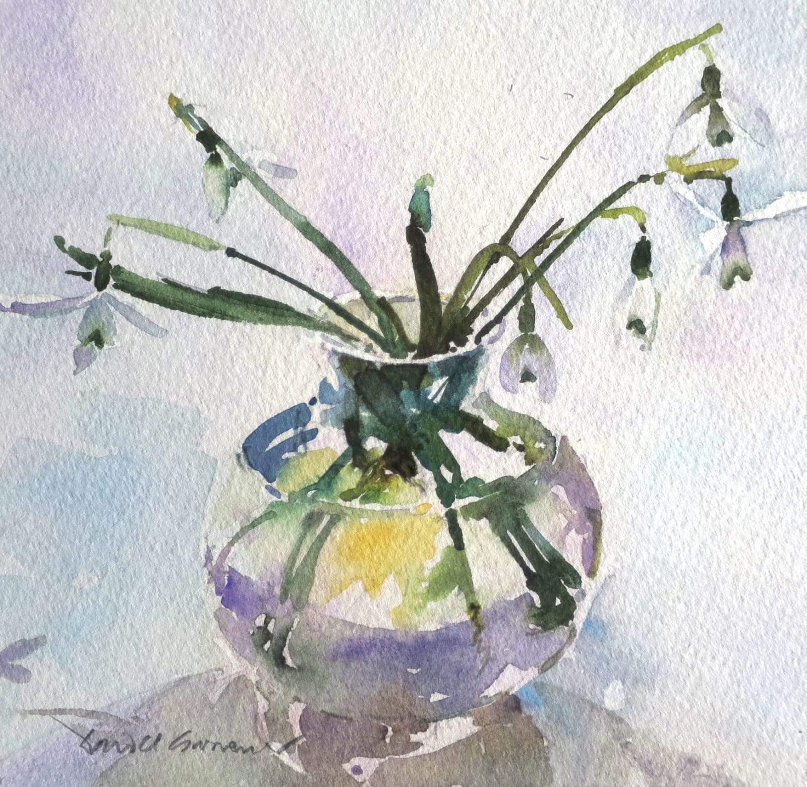 David Grosvenor, Snowdrops, 2024
