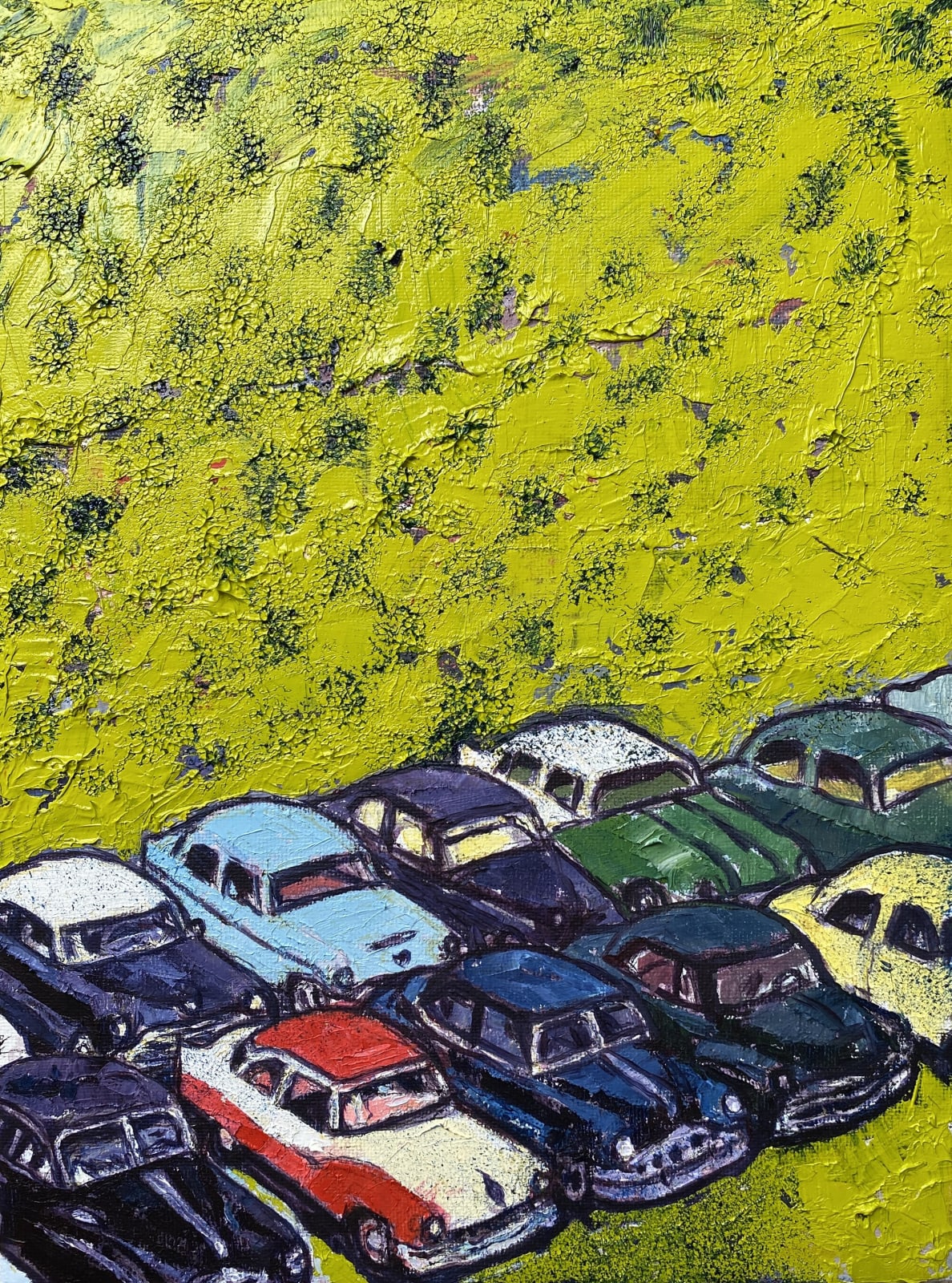 Meirion Ginsberg, Maes Parcio | Car Park, 2024