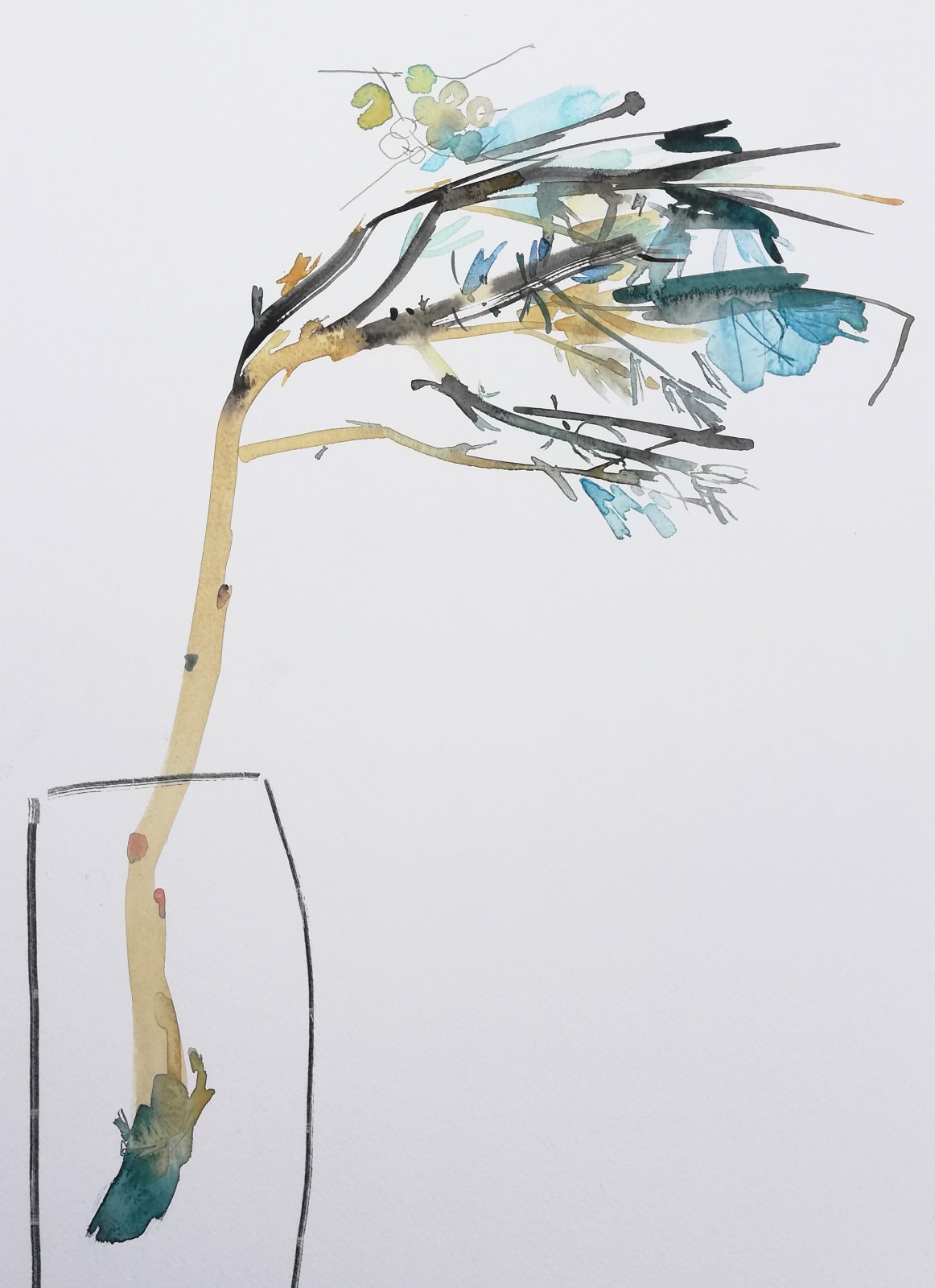 Susan Kane, Wind Blown Lavender