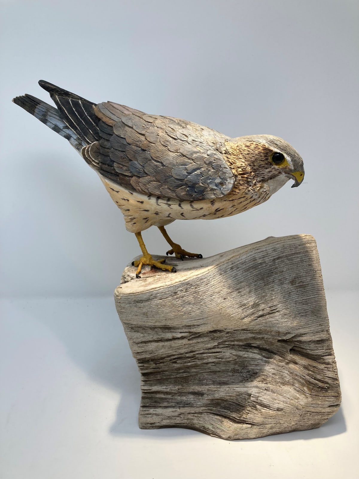 John & Marilyn Davies, Merlin