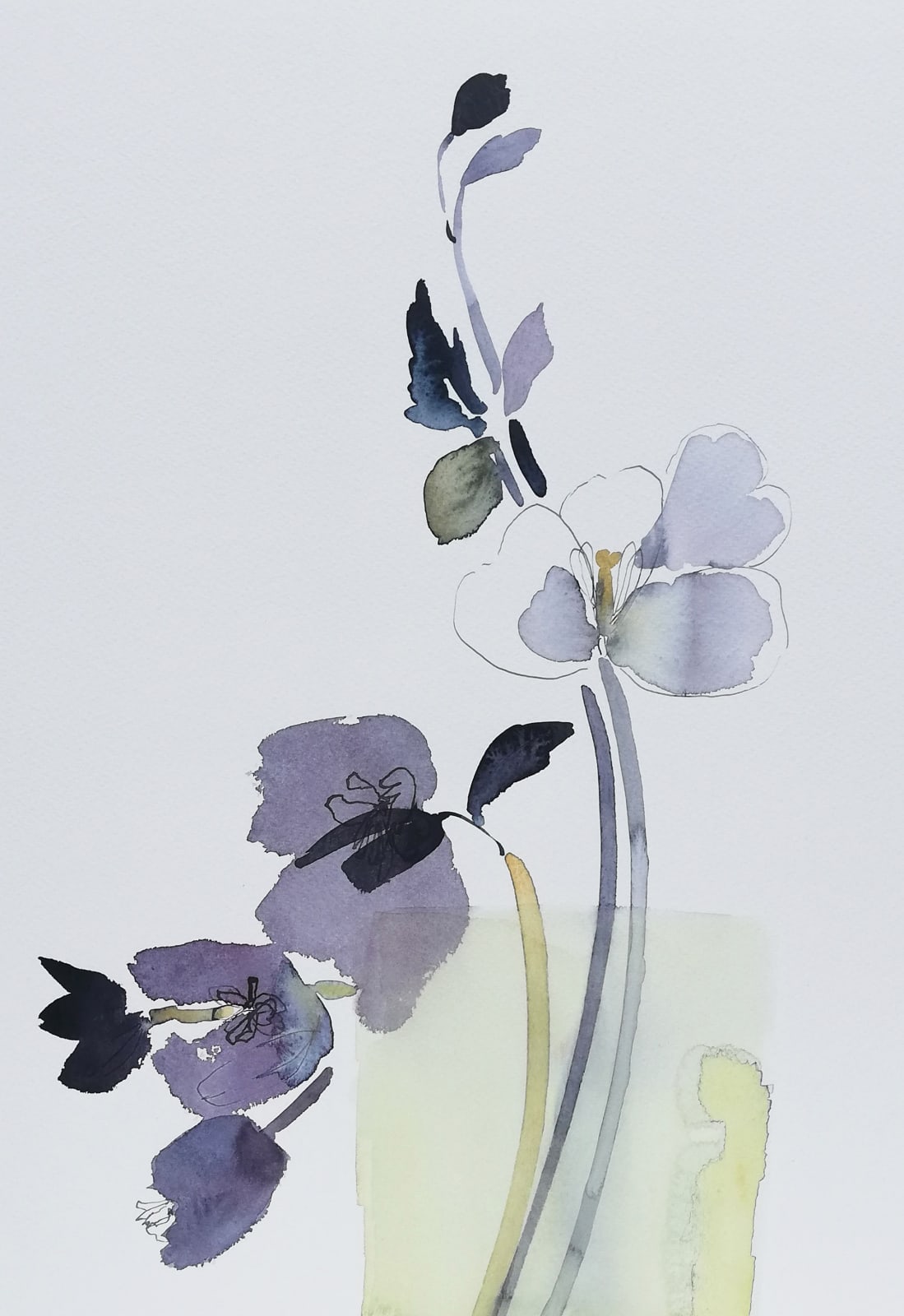 Susan Kane, Lemon Sorbet