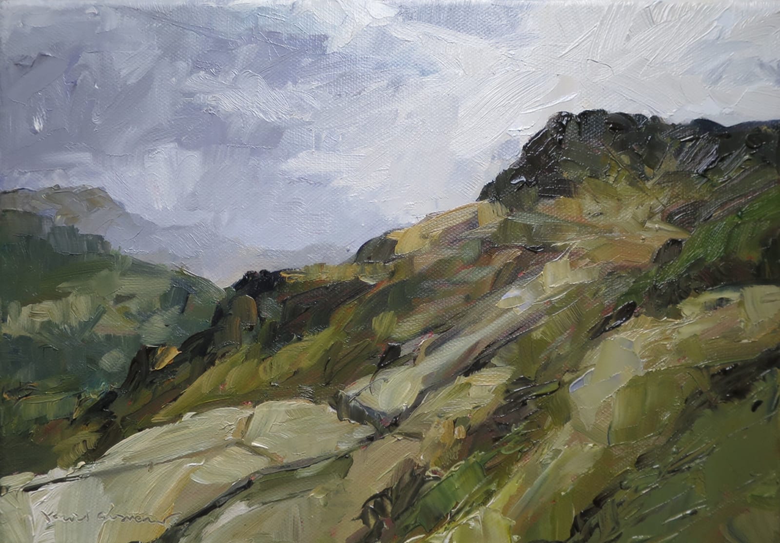 David Grosvenor, Gallt y Wenallt and Dyffryn Gwynant, 2024