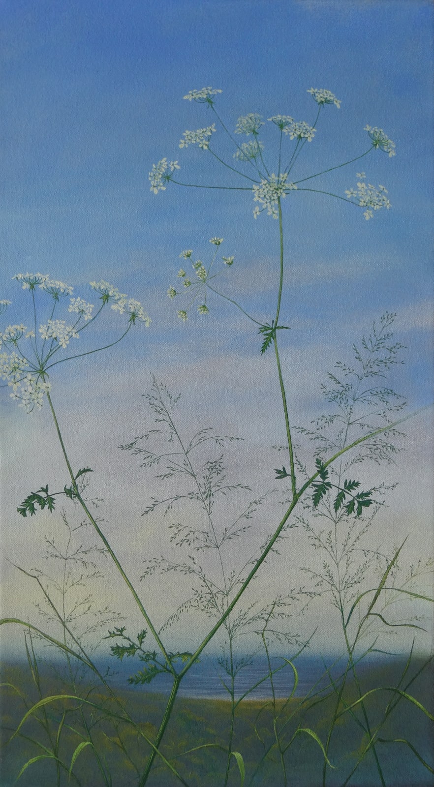 Kim Dewsbury, Constellations, 2025