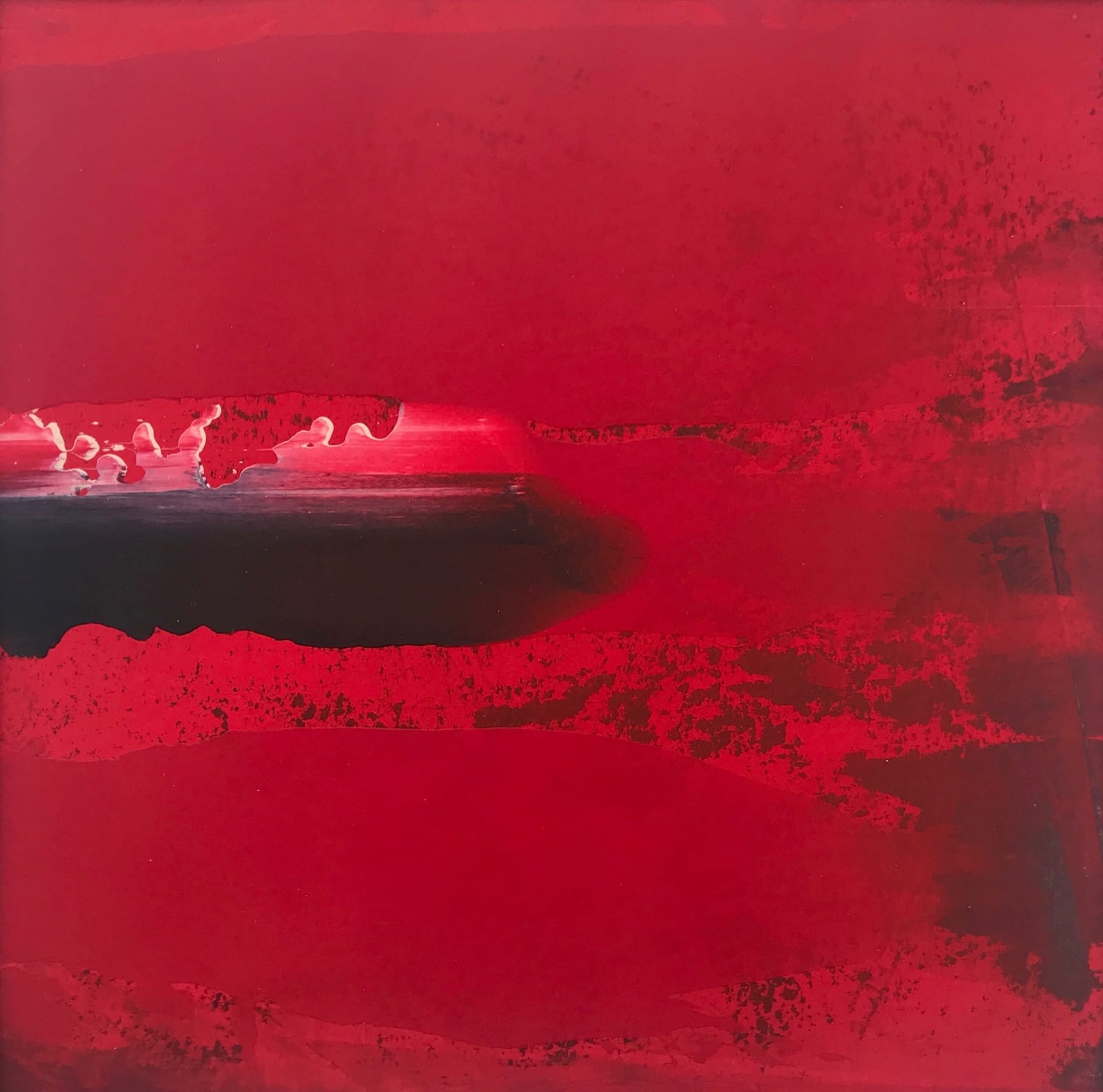 Elfyn Lewis, Cae y Grogbren