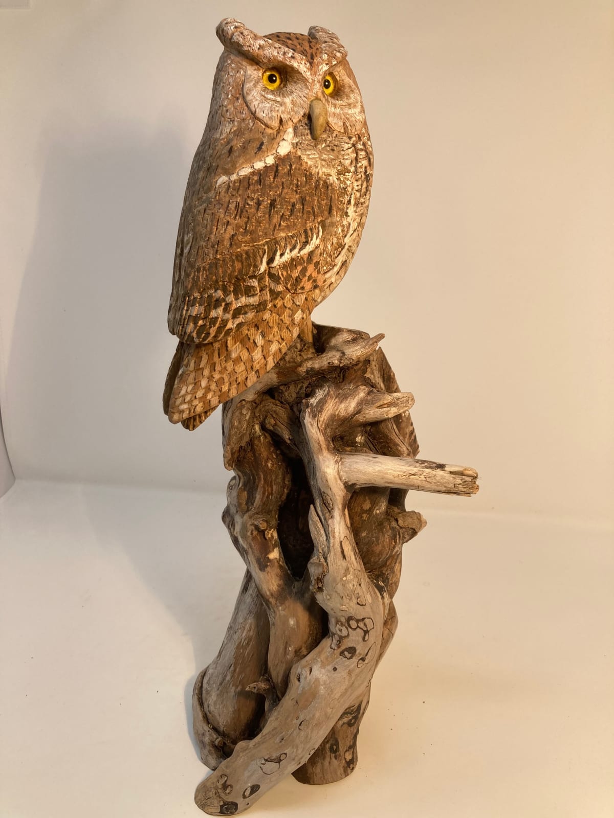 John & Marilyn Davies, Screech Owl, 2025