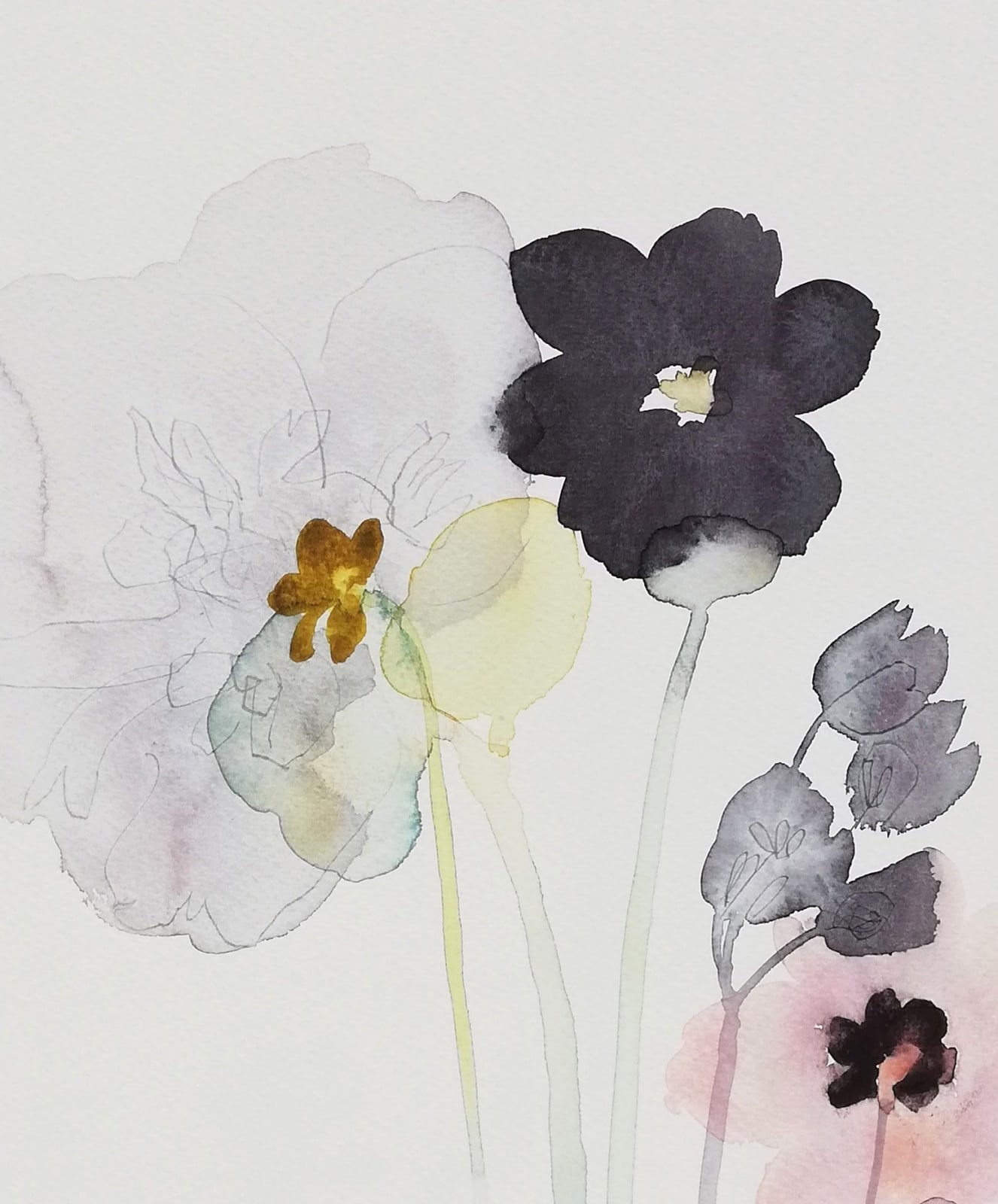 Susan Kane, Black Dahlia