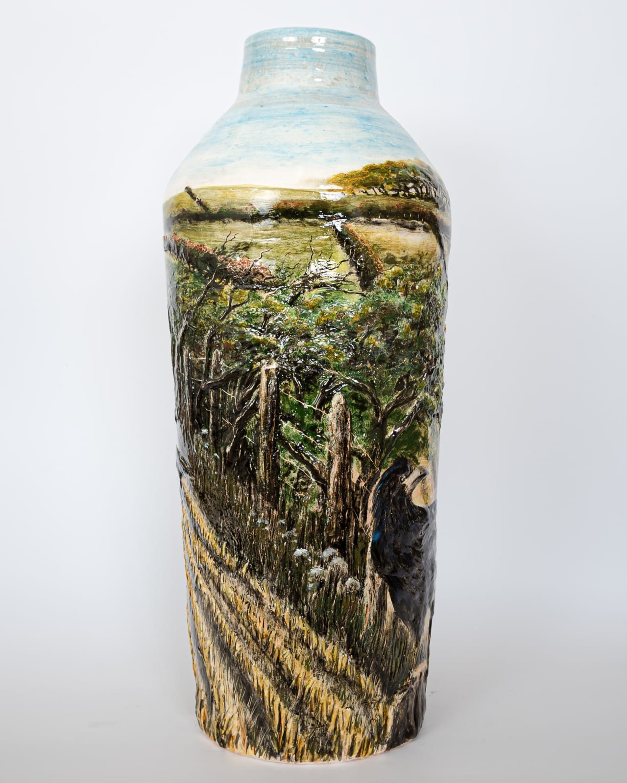 Helen Gittins, Rooks, Vale of Clwyd