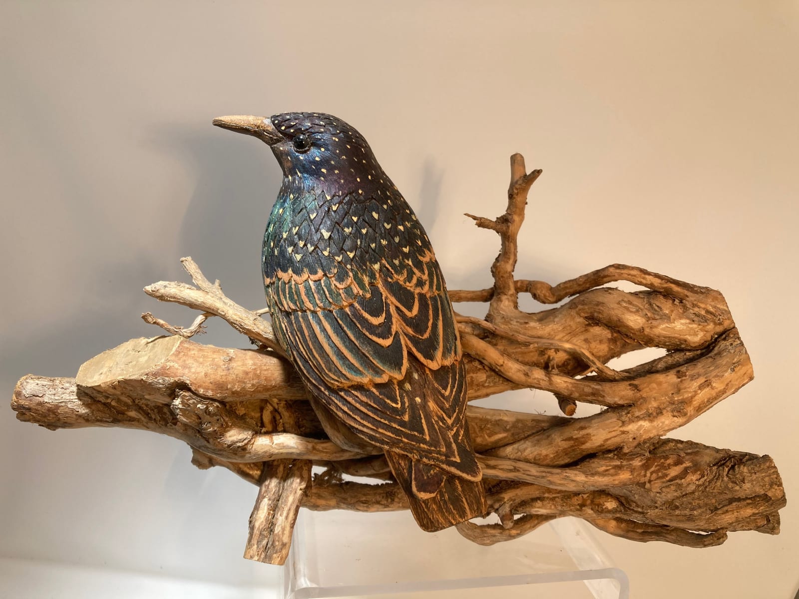 John & Marilyn Davies, Starling, 2025