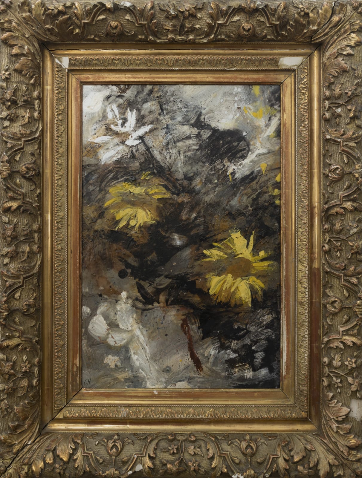 Chloe Holt, Watching Apollo