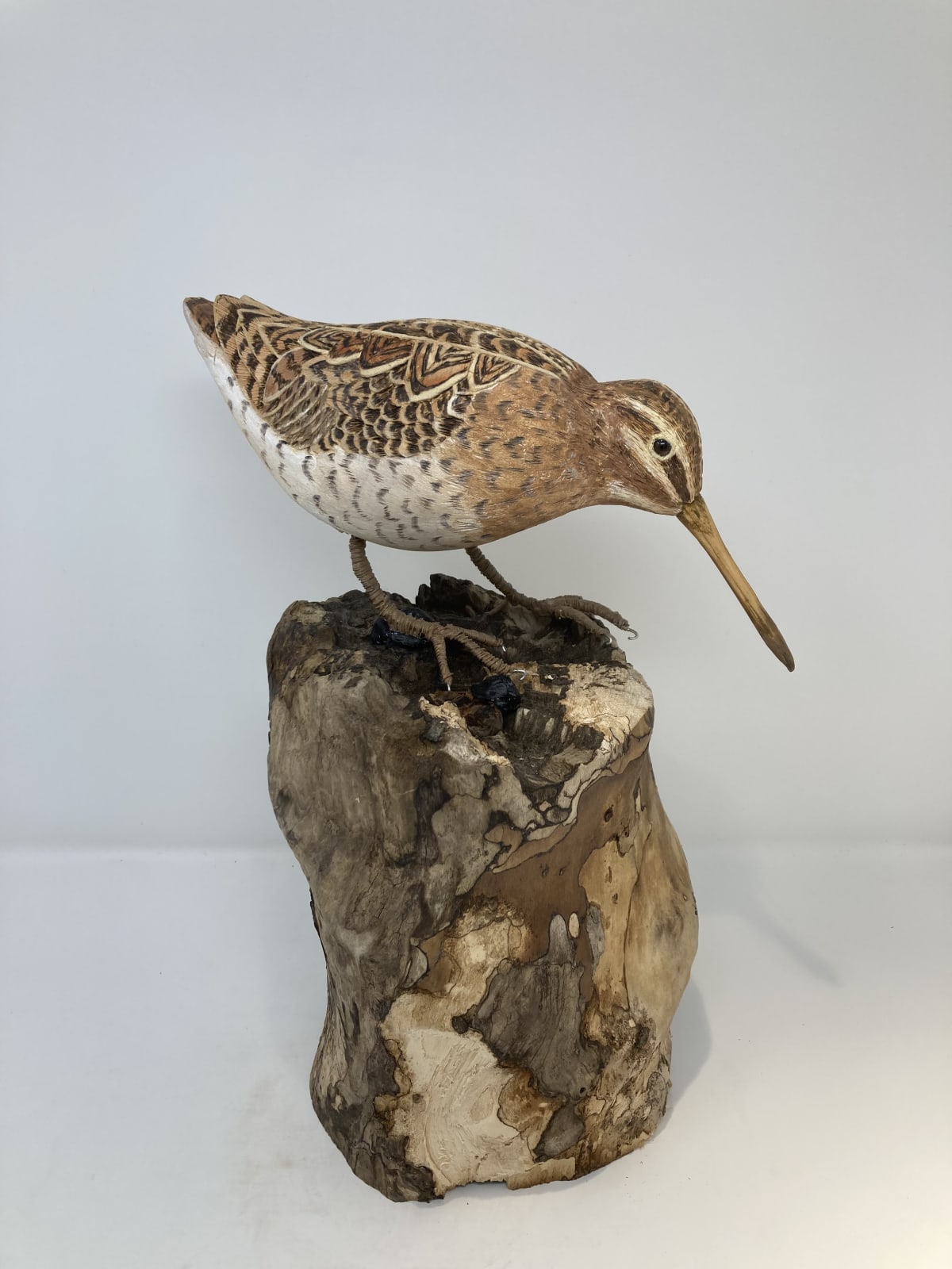 John & Marilyn Davies, Snipe