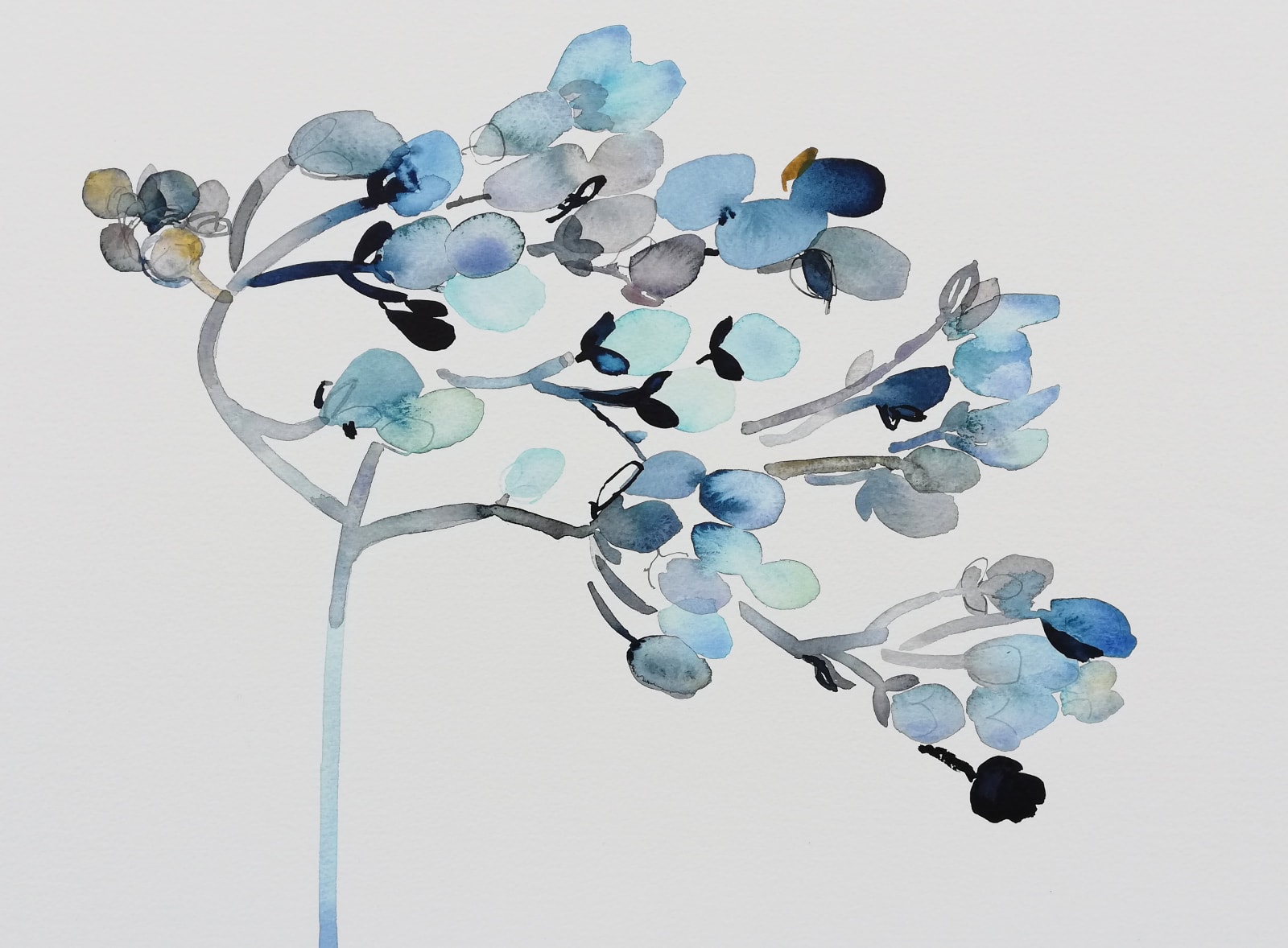 Susan Kane, Spring Buds