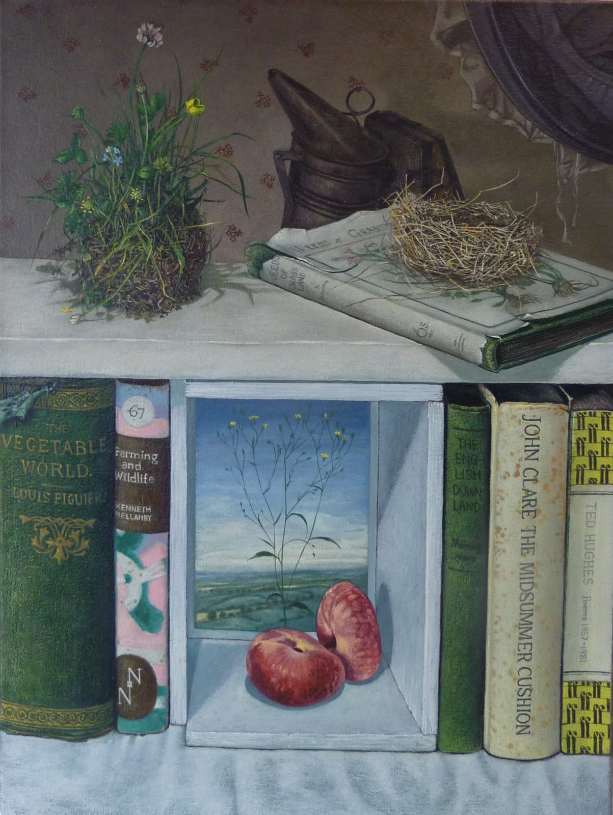 Kim Dewsbury, 'The Midsummer Cushion'