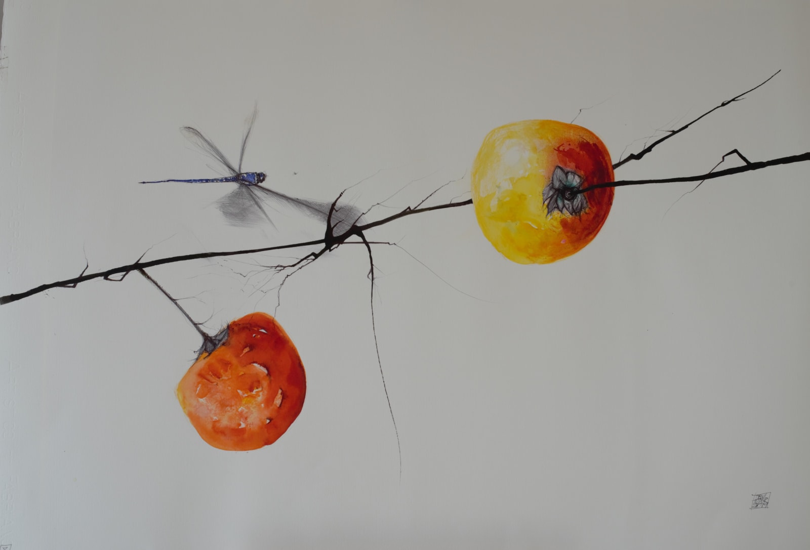 Dewi Tudur, Gwas a Dau Caci / Dragonfly with Persimmon