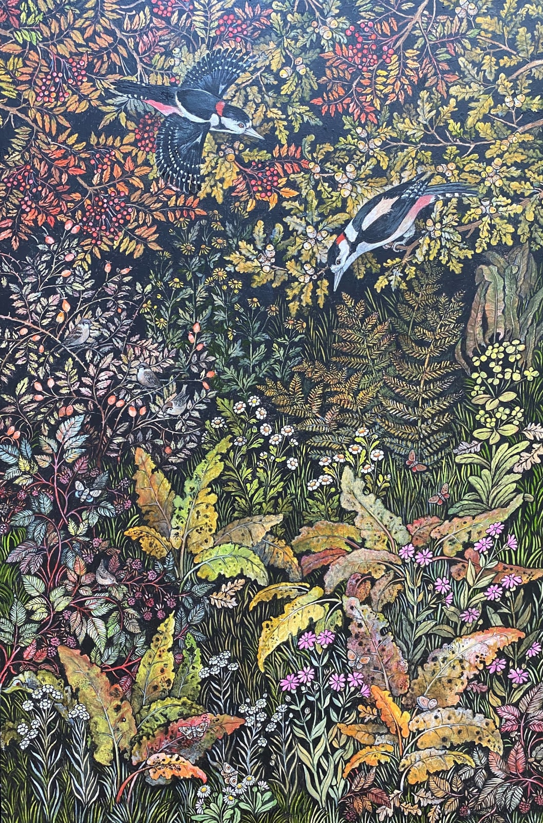 Barbara Winrow, Greater Spotted Woodpeckers