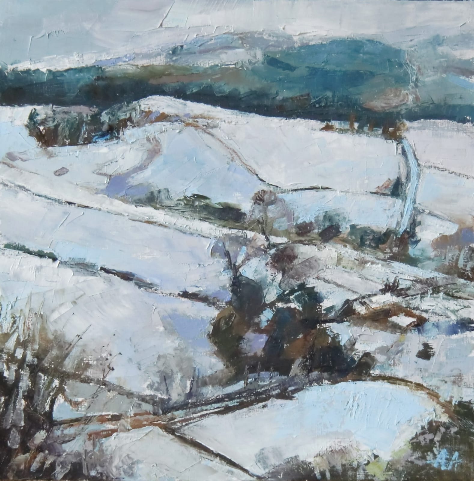 Anne Aspinall, Winter in the Hills