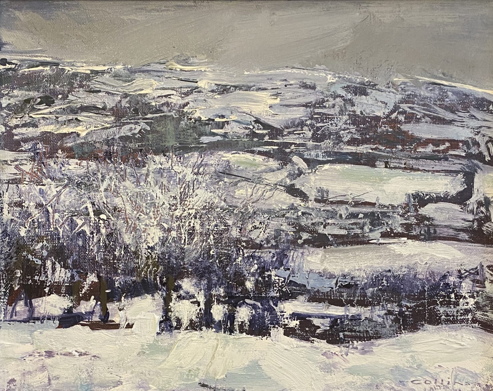 Martin Collins 1941 - 2023, The Biting Cold of February, Conwy Valley, 2023