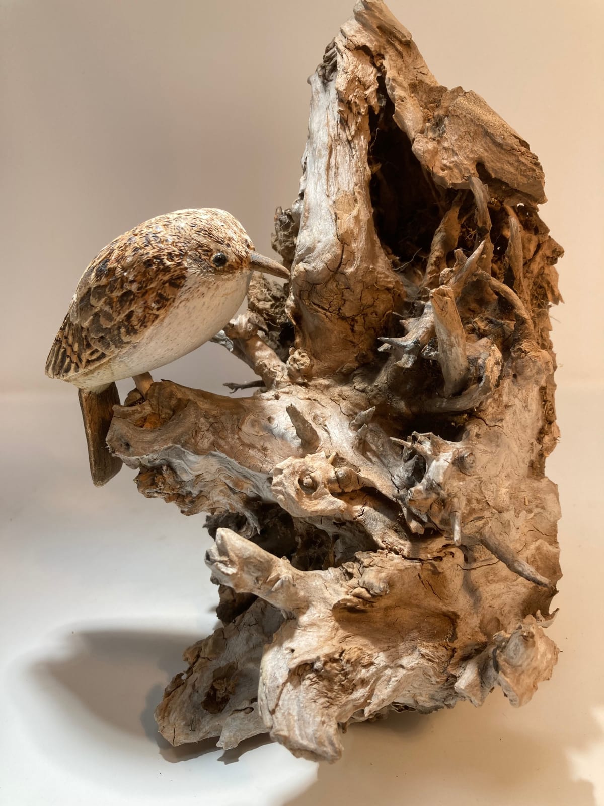 John & Marilyn Davies, Treecreeper, 2025