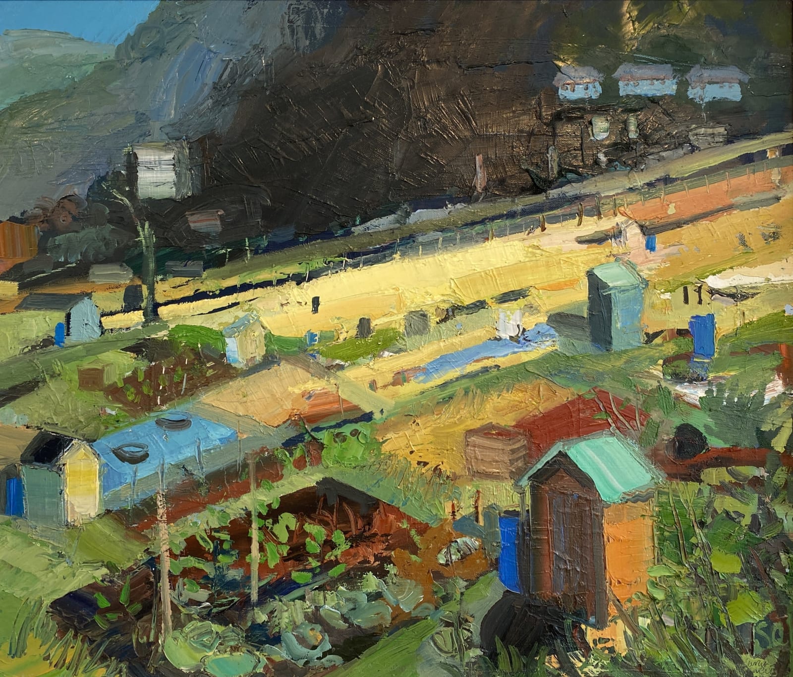Sarah Carvell, The Allotments, Denbigh, 2023