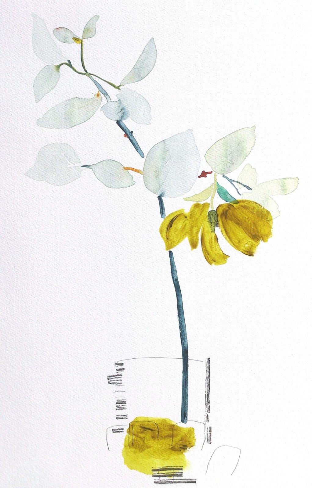 Susan Kane, Magnolia