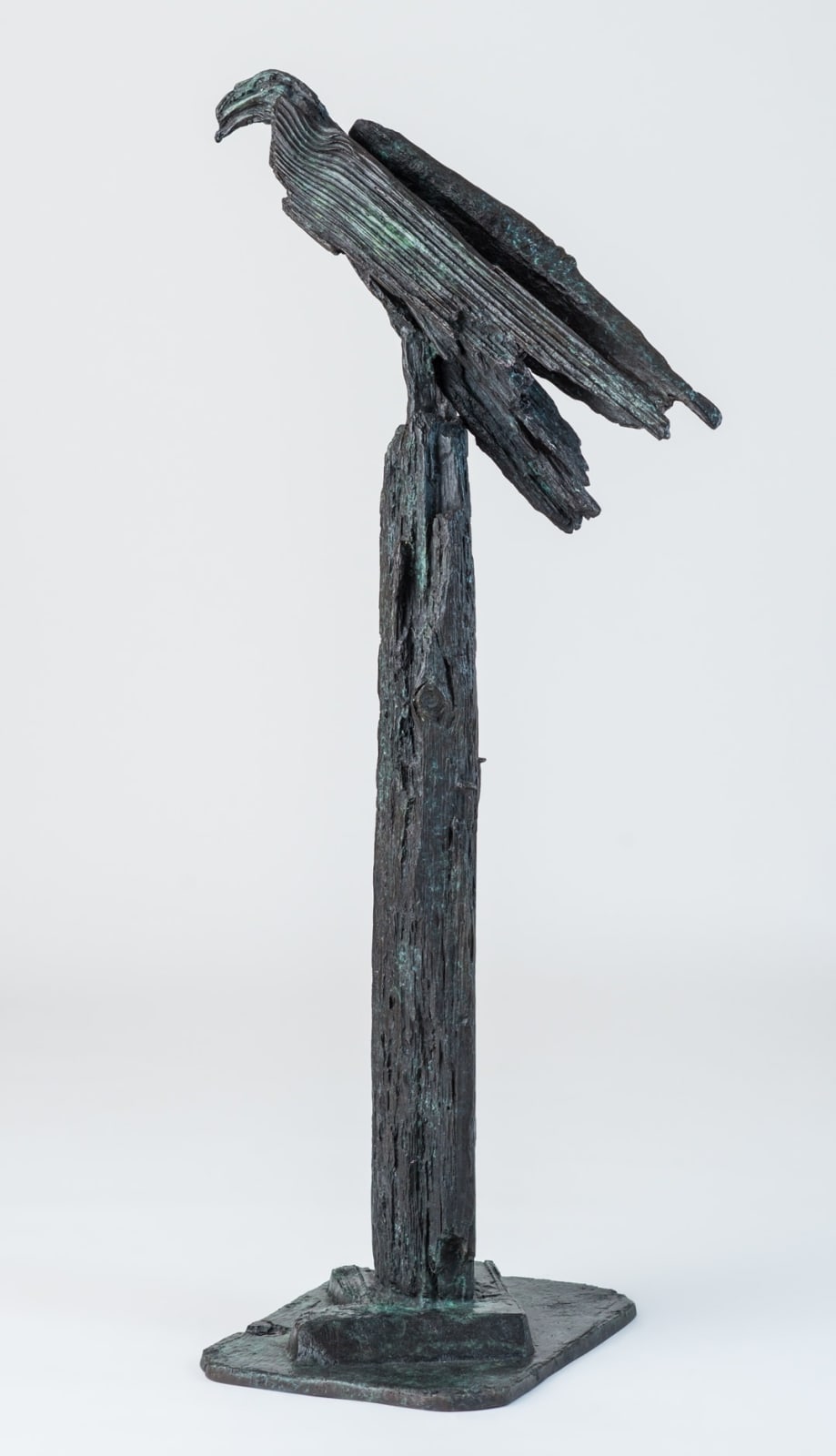 Helen Sinclair, Upon the Rough Bark (after 'Hawk Roosting' by Ted Hughes)