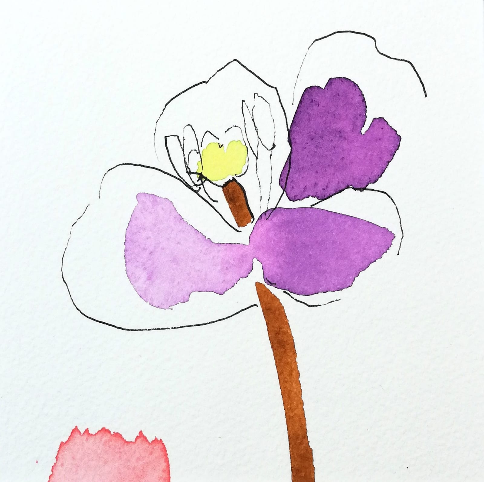 Susan Kane, Falling Petals