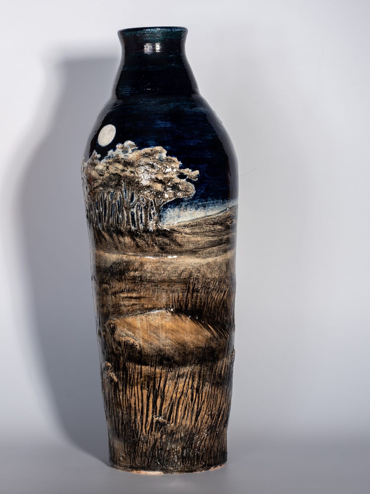 Helen Gittins, Barn Owl near Denbigh