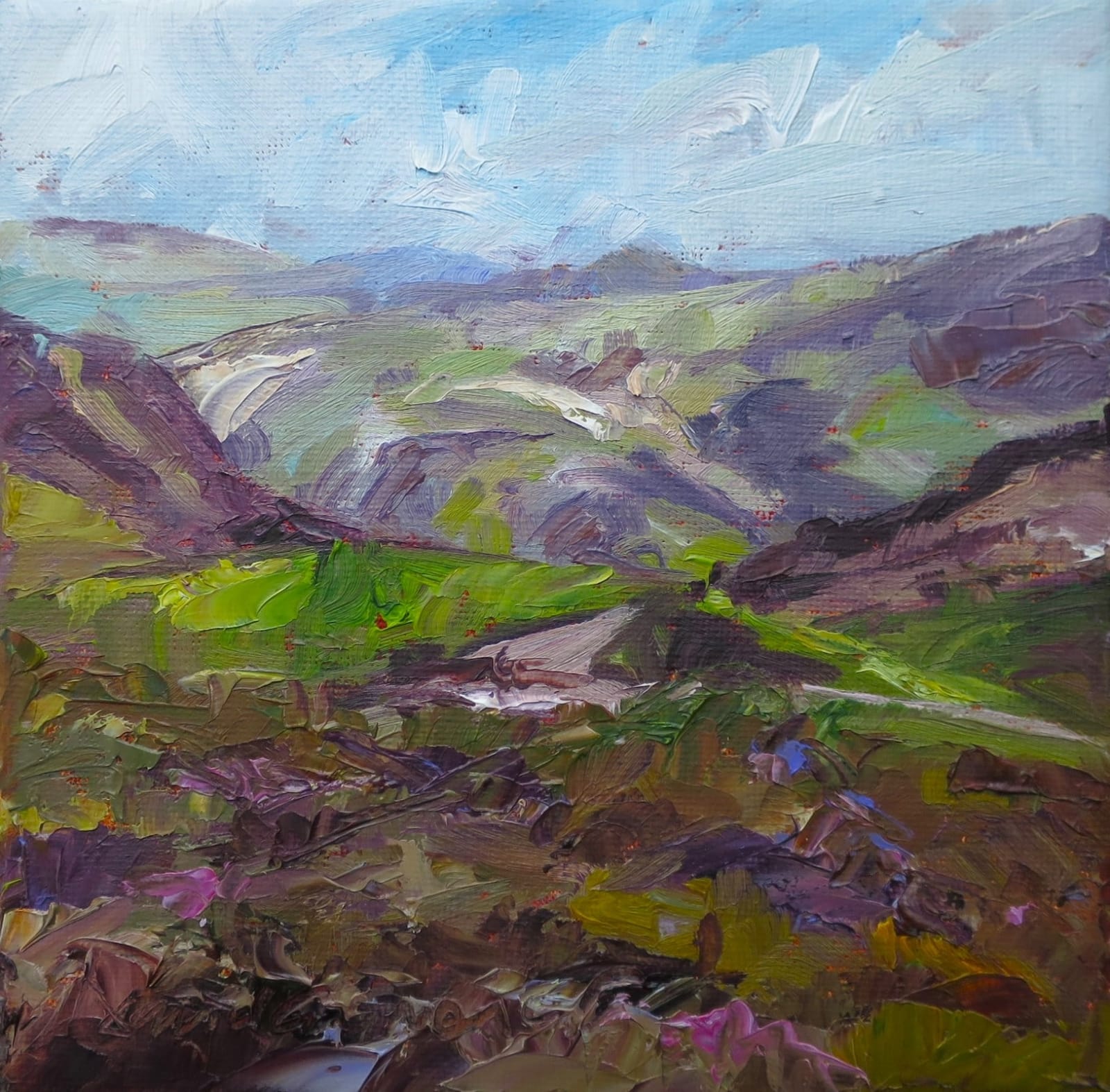 David Grosvenor, Sychnant Pass, 2025