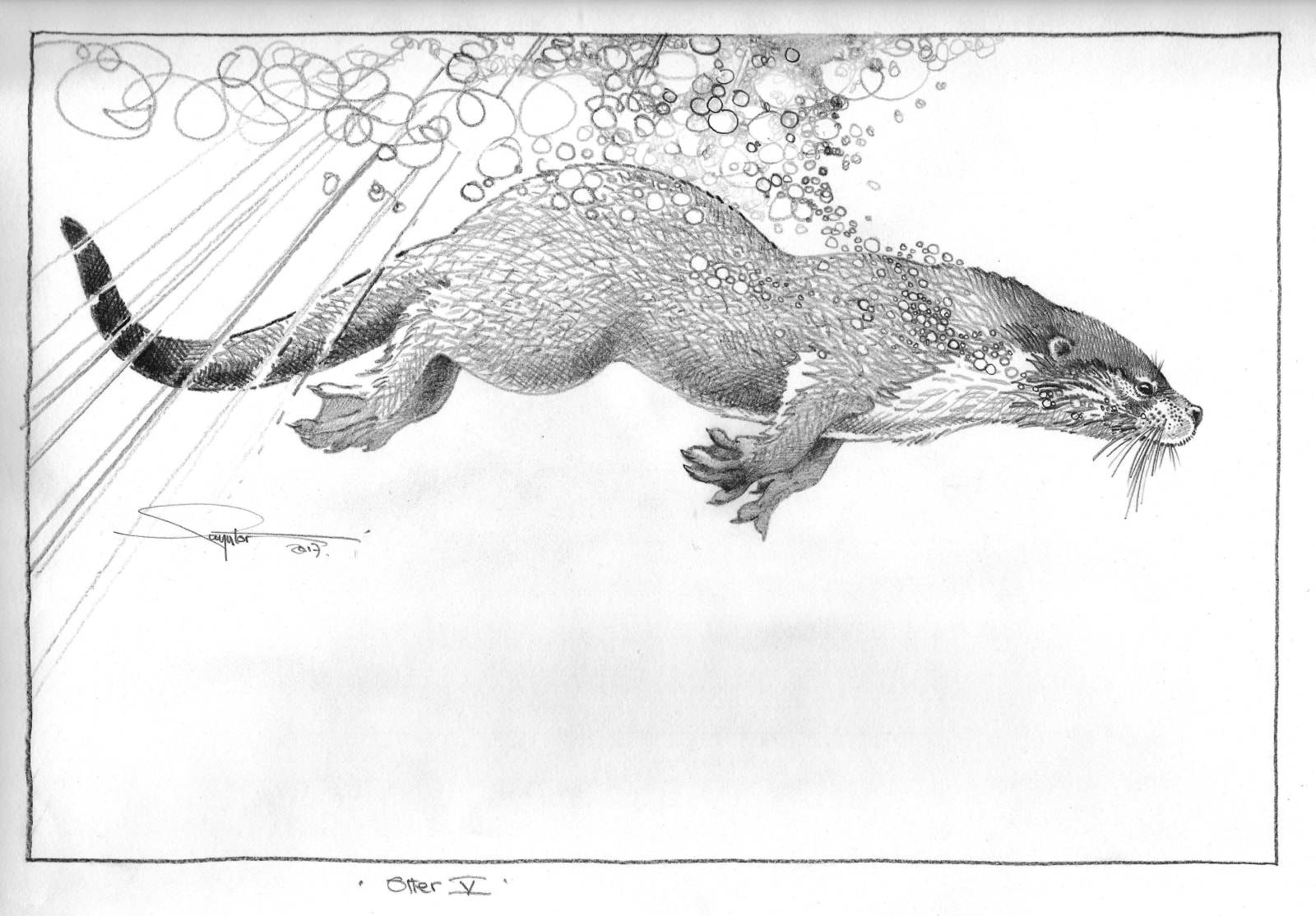 Colin See-Paynton, Otter V