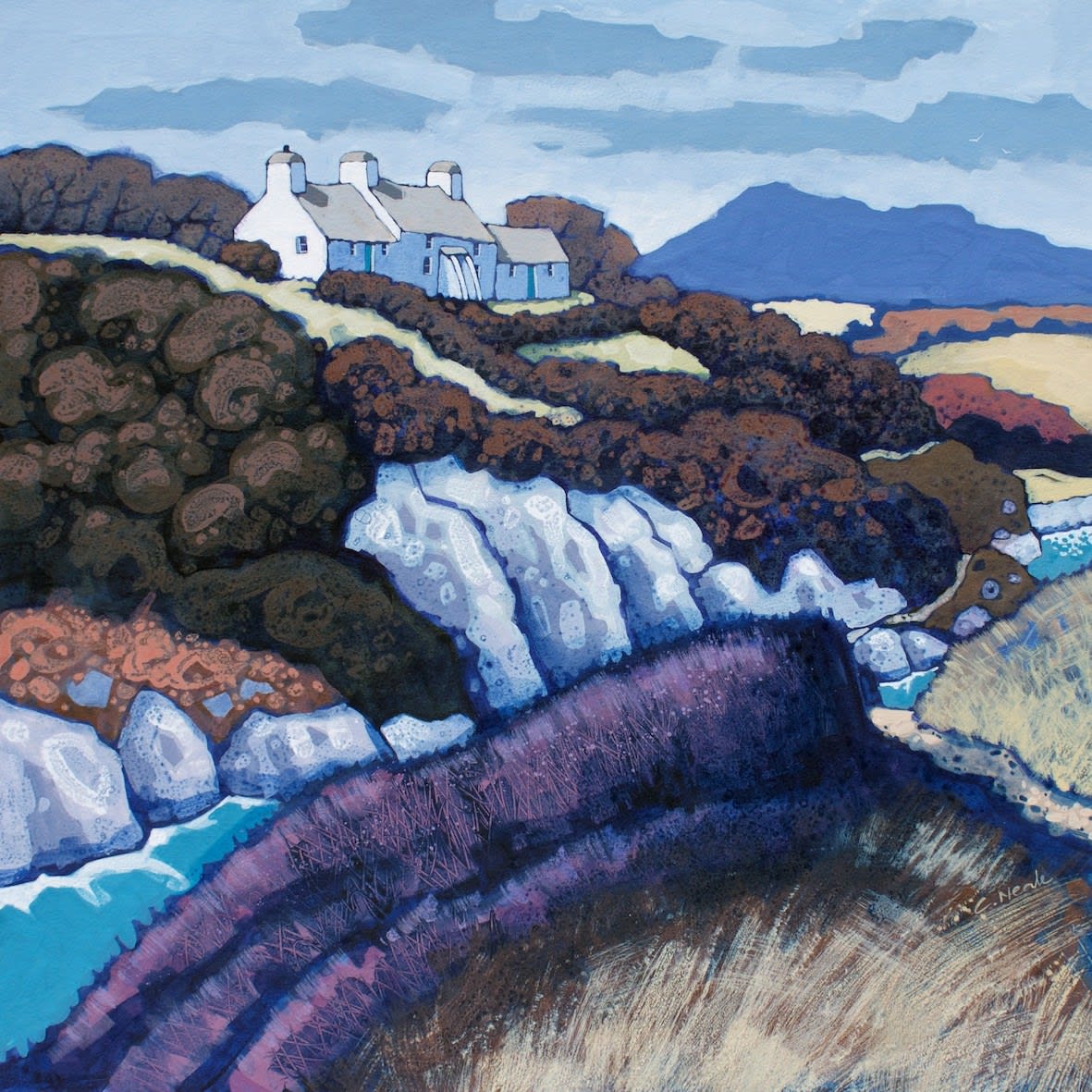 Chris Neale, Porthclais
