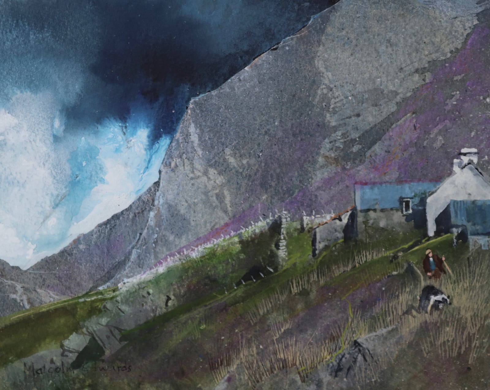 Malcolm Edwards, Cefngrugos