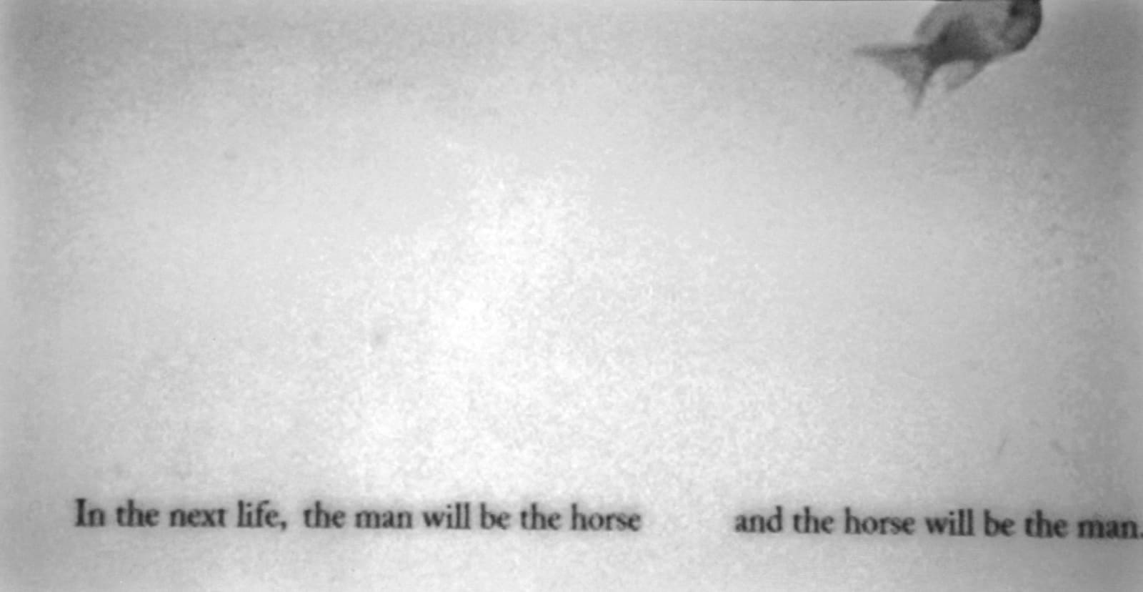 Nicole Wassall, Man and a horse