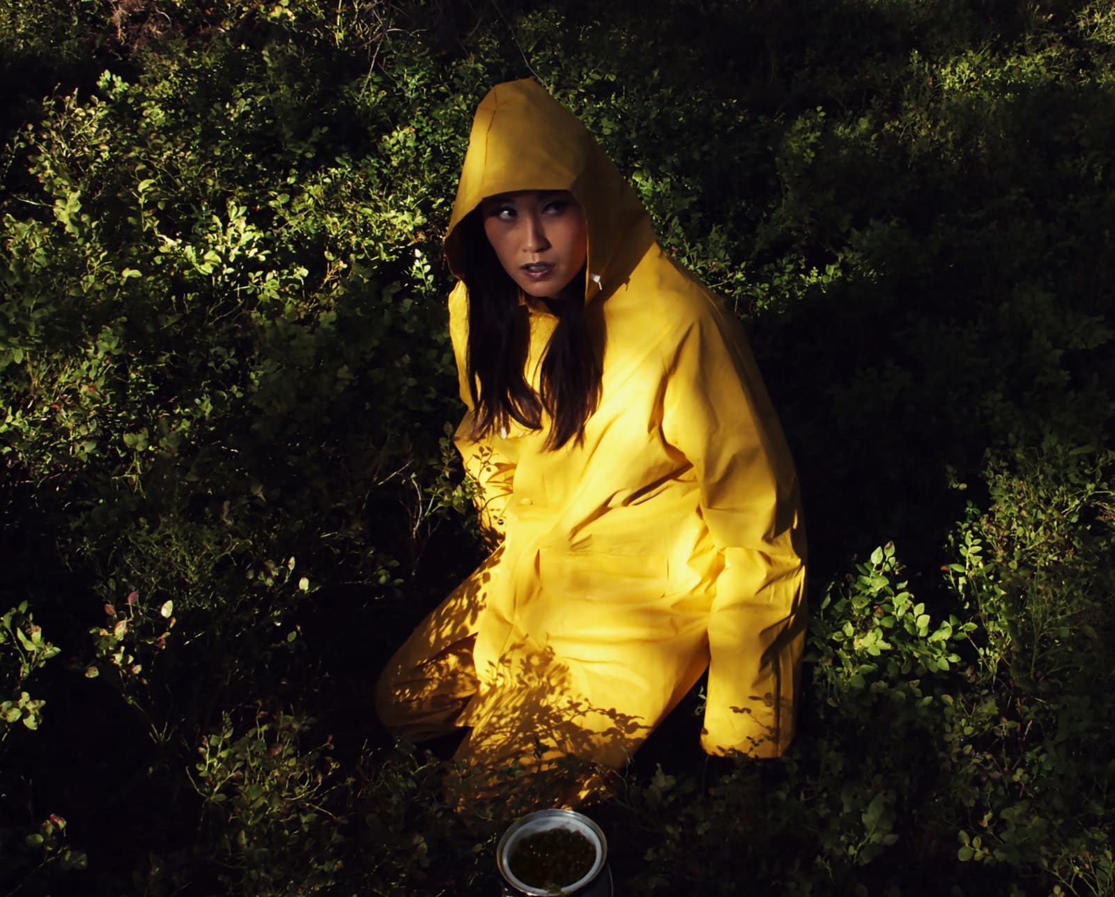 Anikó Kuikka, Blueberry Picker (White Sugar series), 2016