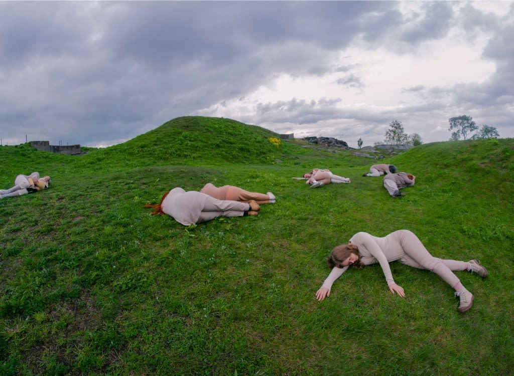 Anikó Kuikka, ‘Cows in a pasture’ (from the ELÄIN ANIMAL DJUR photo series), 2023