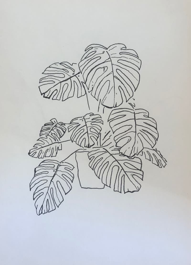 Ania Magliano, Monstera plant, 2019