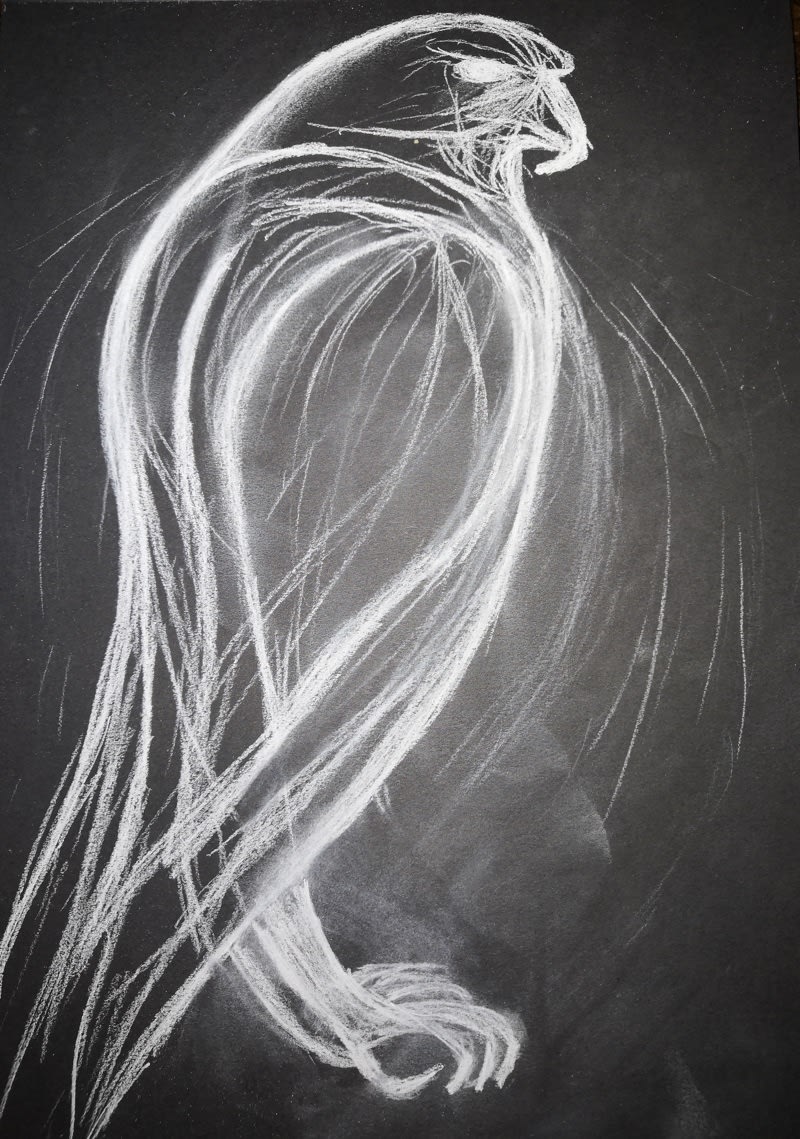 Paul Savage, Smooth Curves, 2019