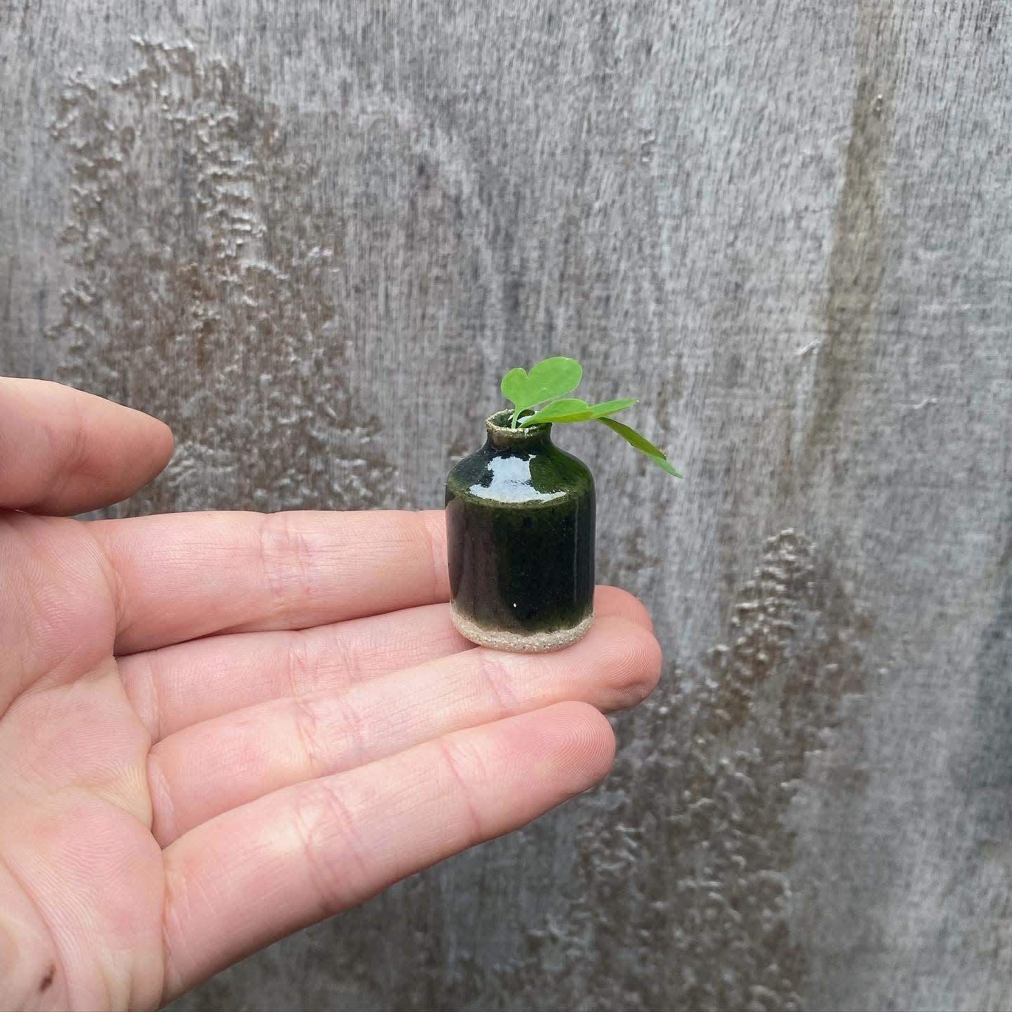 Tilly Slight, Sea glass, 2024