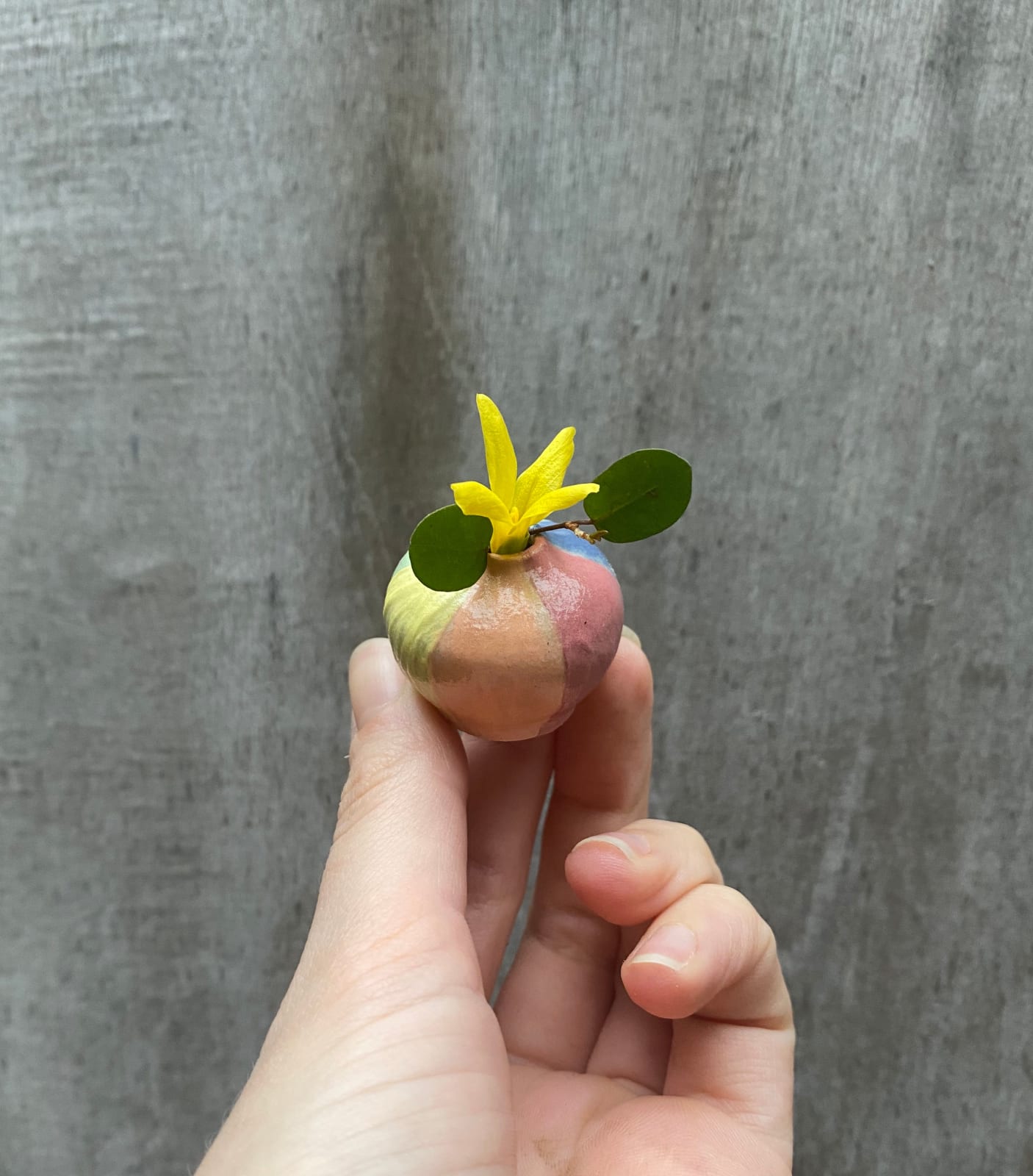 Tilly Slight, Colour dial, 2024