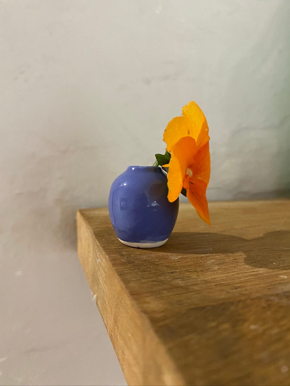 Tilly Slight, Cobalt blue IV, 2021