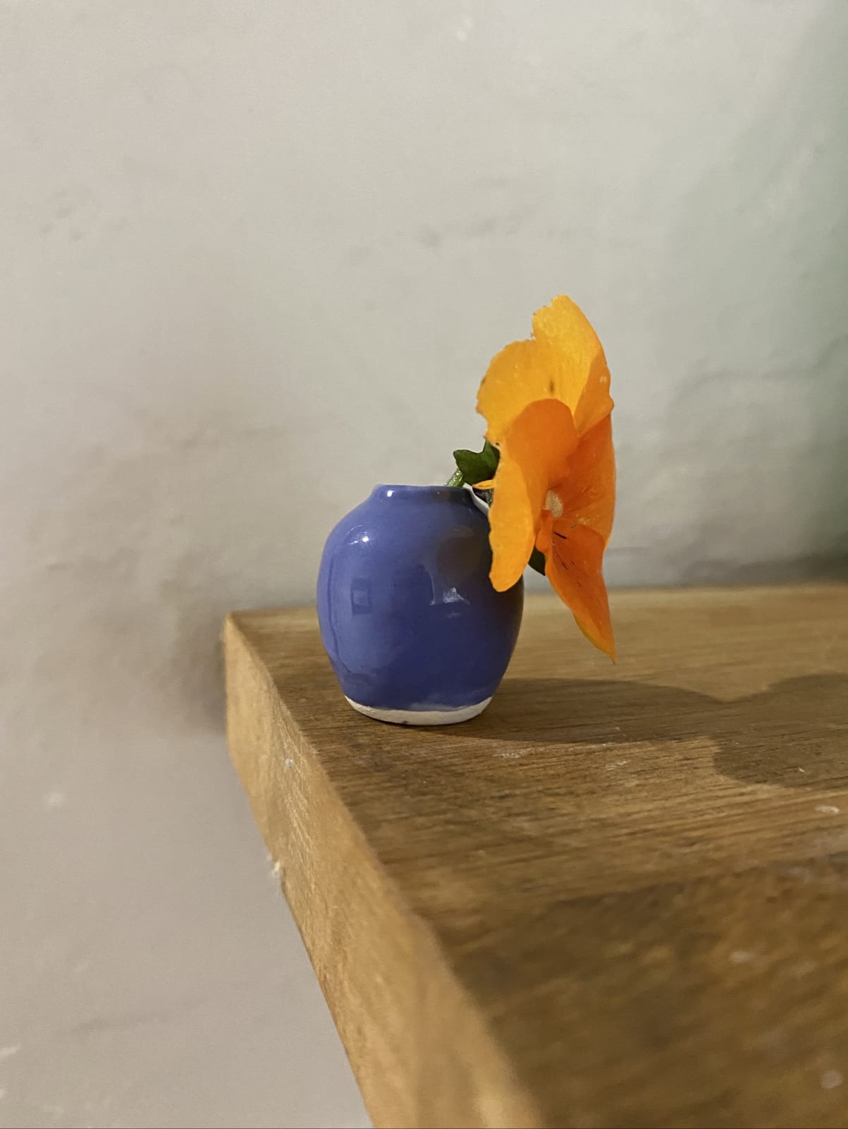 Tilly Slight, Cobalt blue IV, 2021