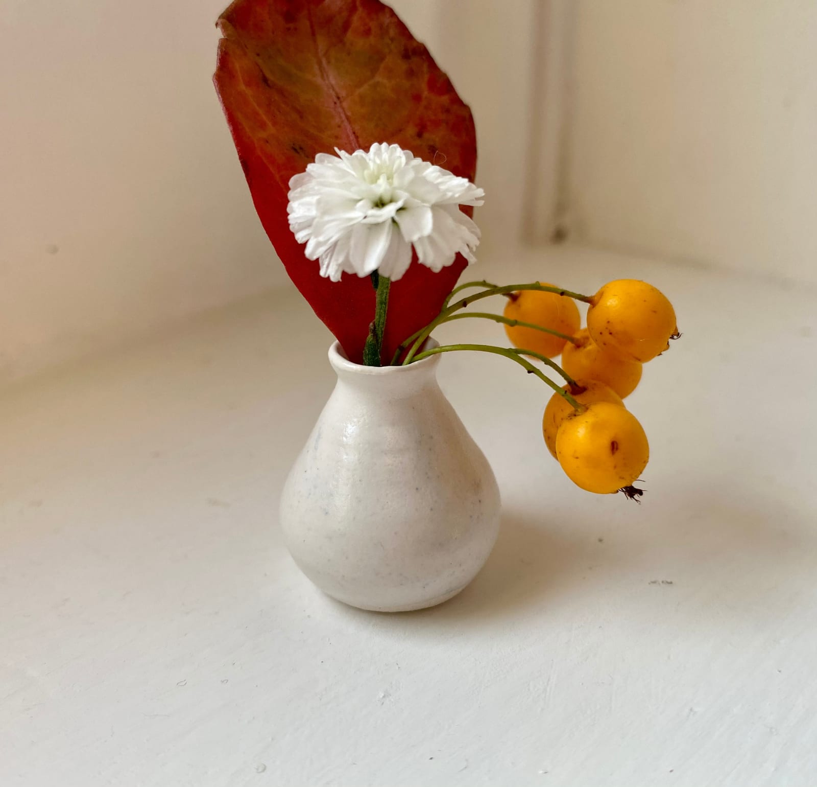 Tilly Slight, Arctic white VIII, 2020