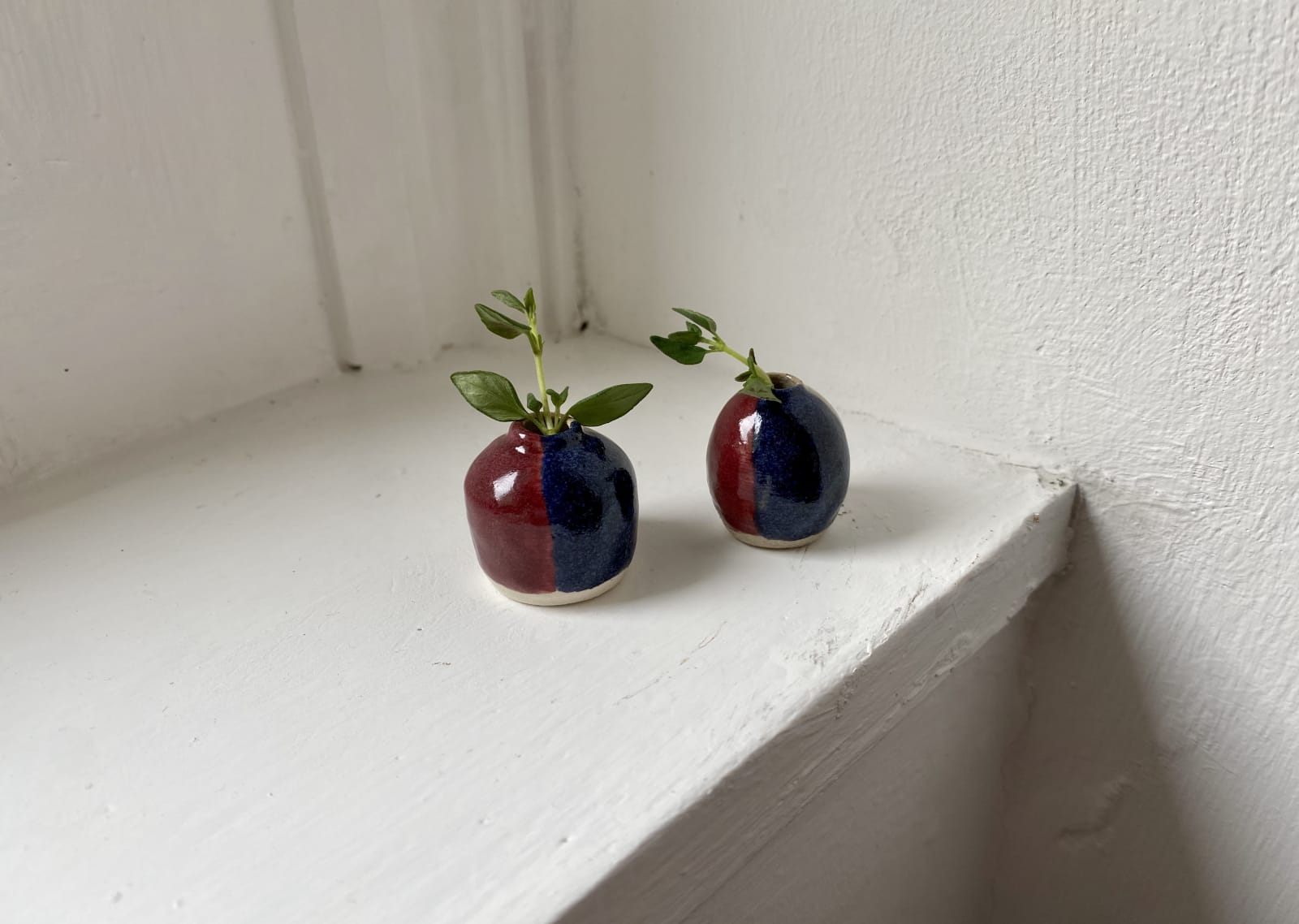 Tilly Slight, Autumn tritone II, 2020