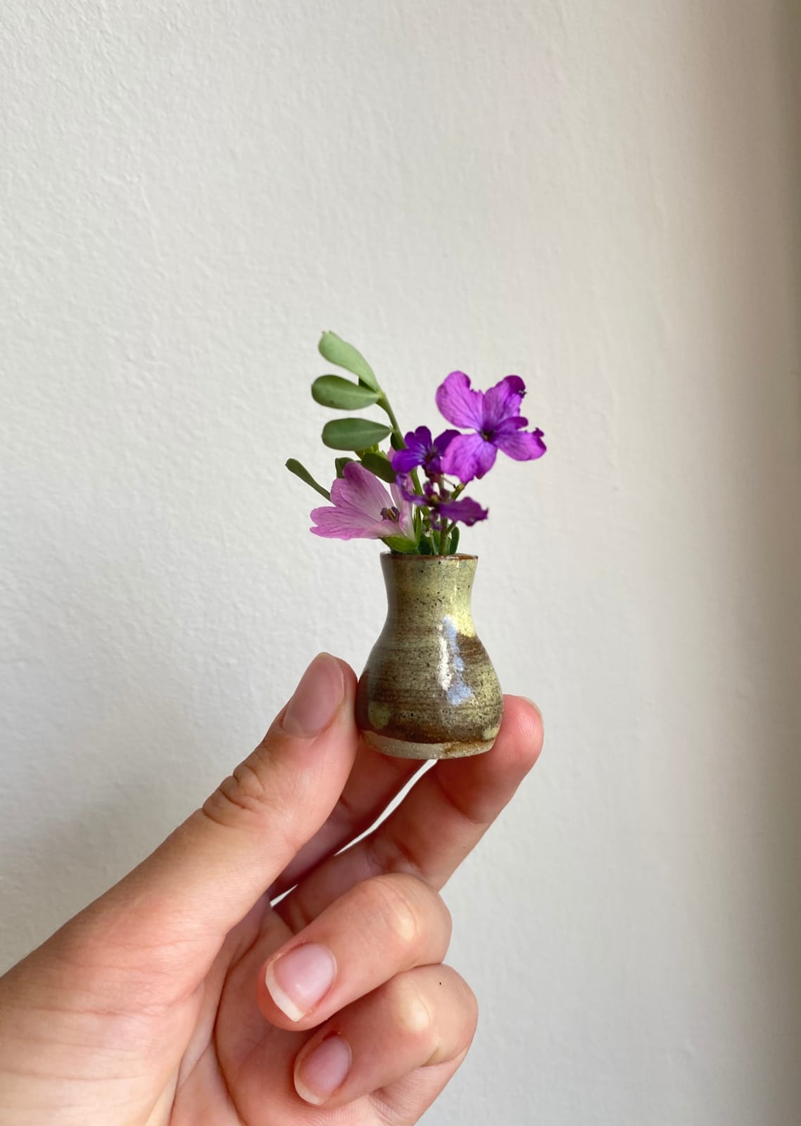 Tilly Slight, Oak Green I, 2020