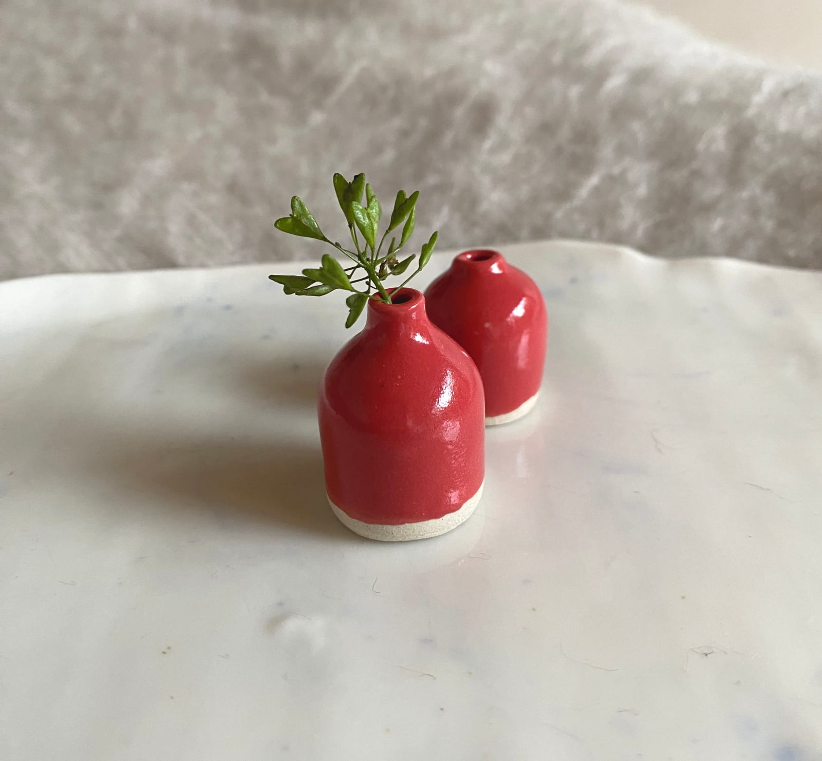 Tilly Slight, Coral red II, 2024