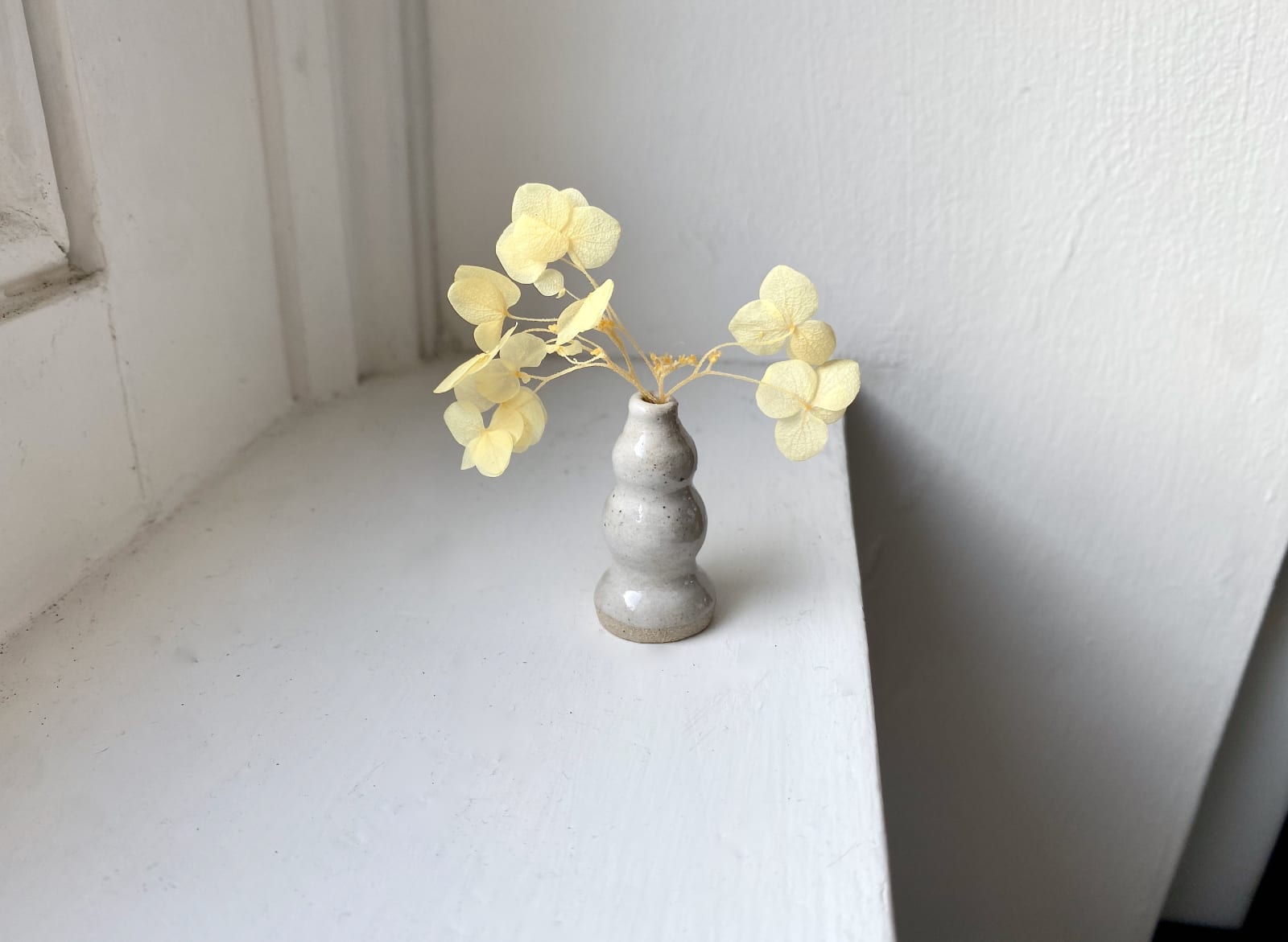 Tilly Slight, Arctic 3 tier II, 2022