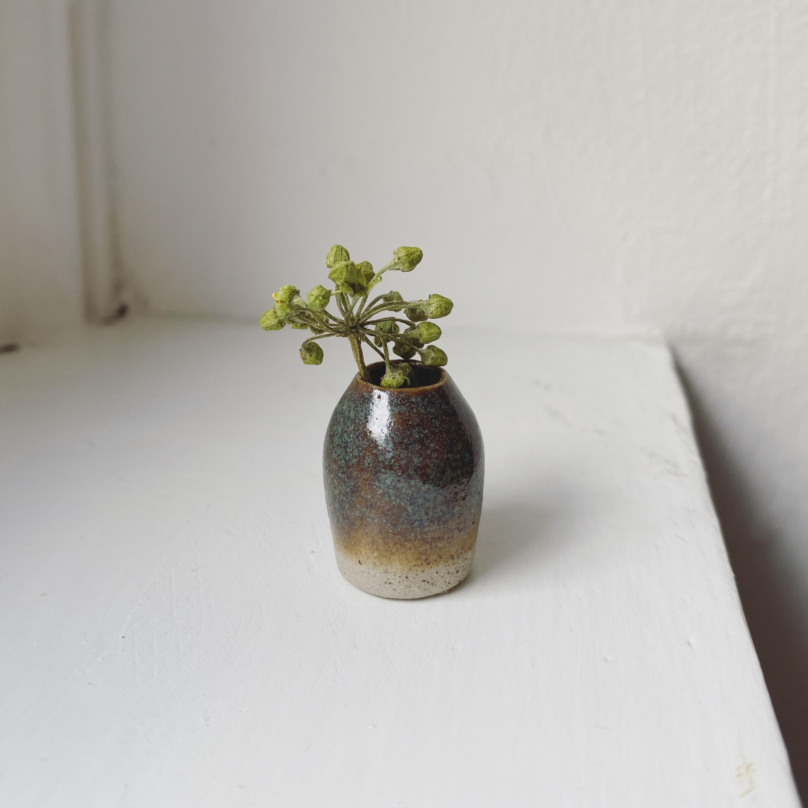 Tilly Slight, Canada green III, 2020