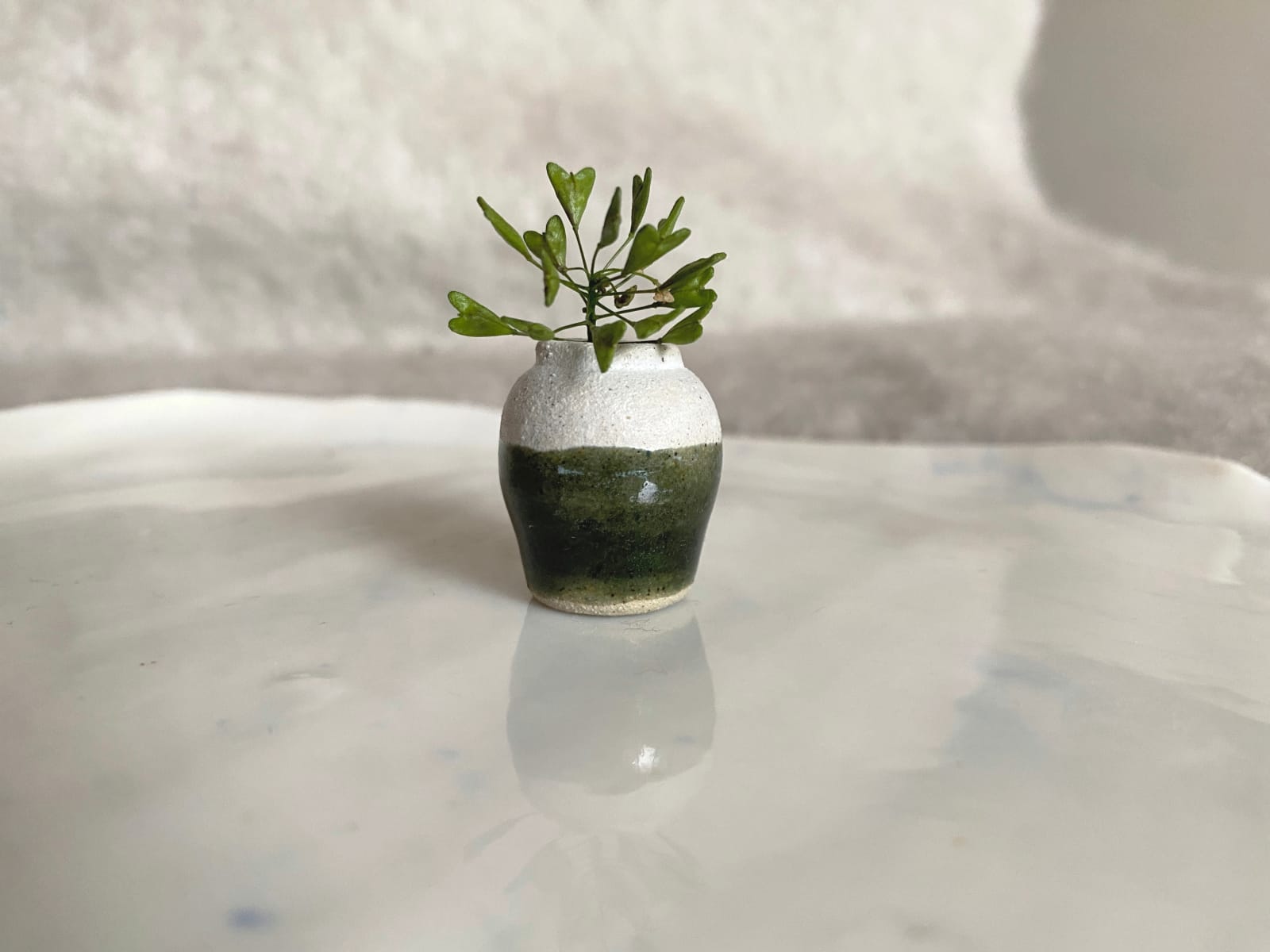 Tilly Slight, Sea green shore II, 2024