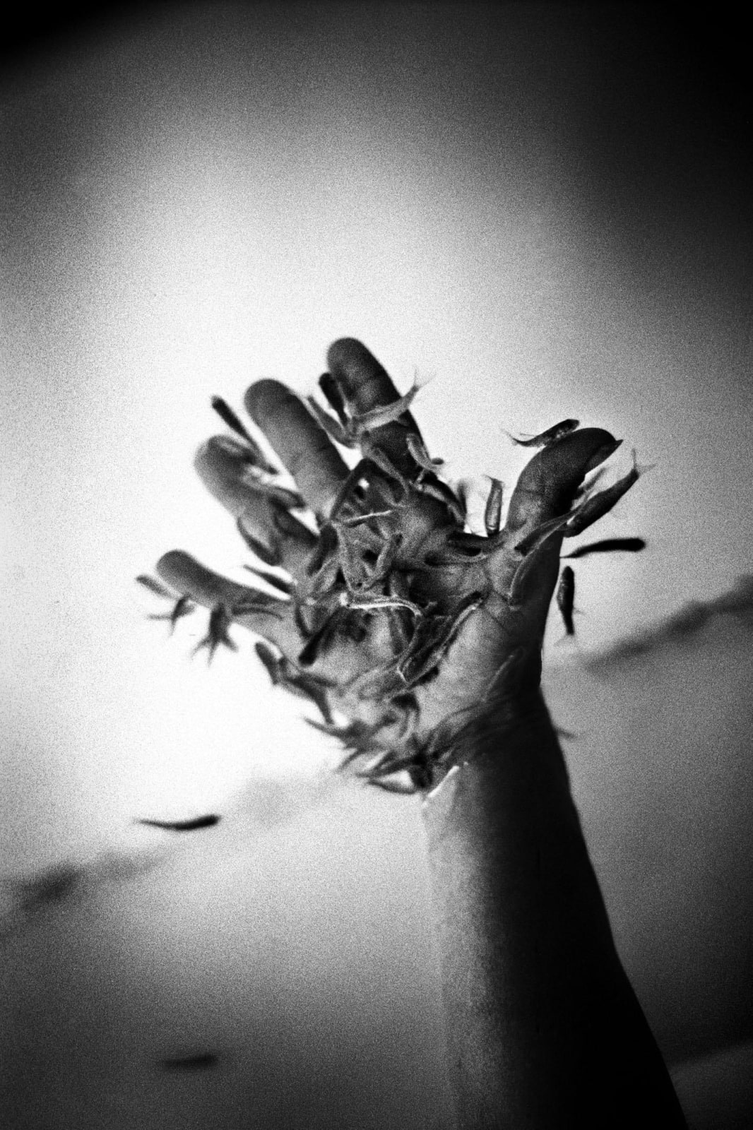 Yusuf Sevinçli, Serie Marseille - Sans titre (#003), 2013