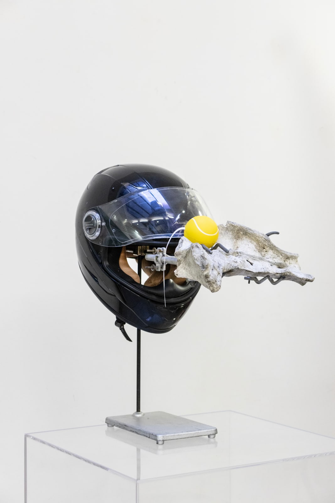 Léo Fourdrinier, Amour des fantaisies permises, 2023