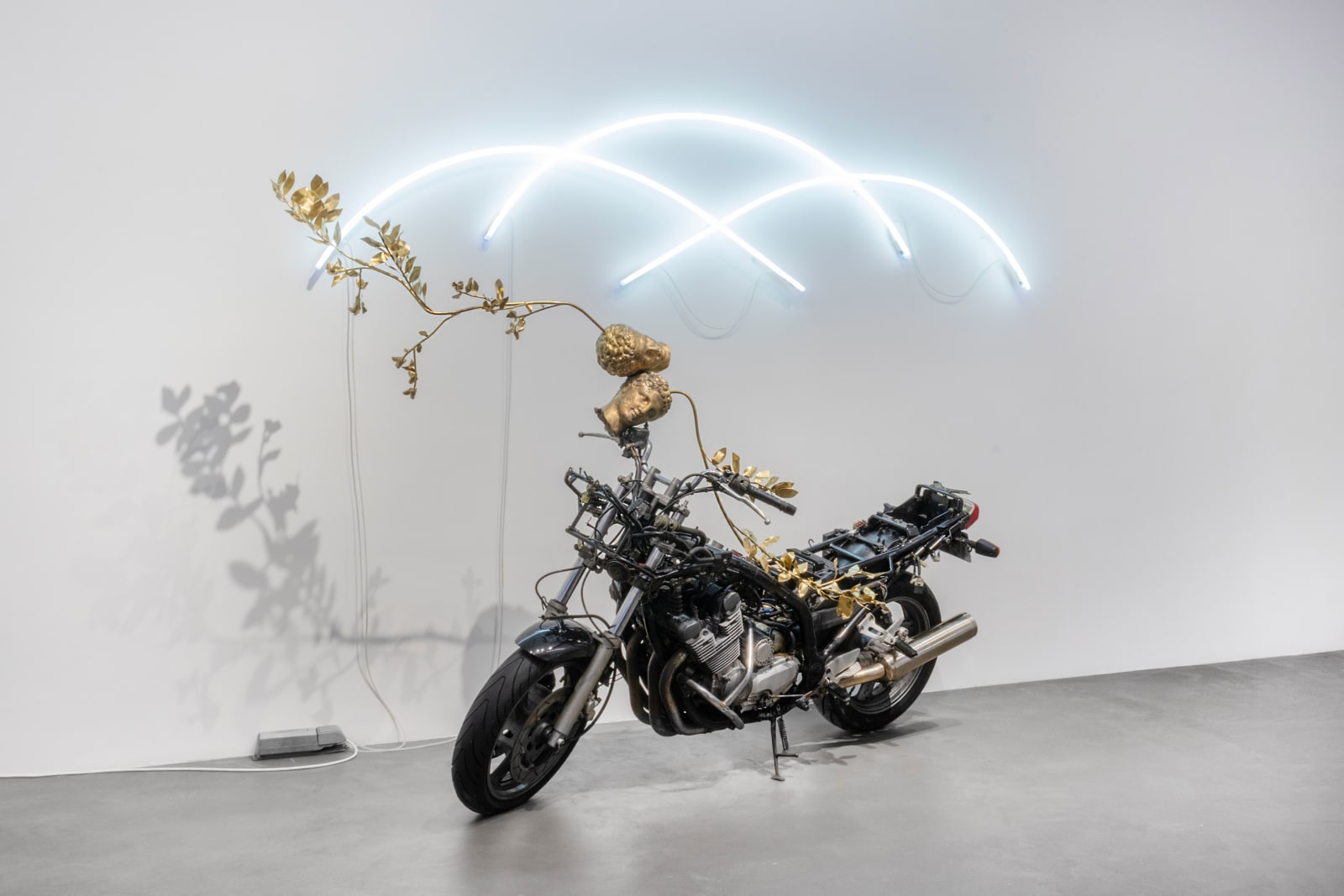 Léo Fourdrinier, No Love Lost, 2024